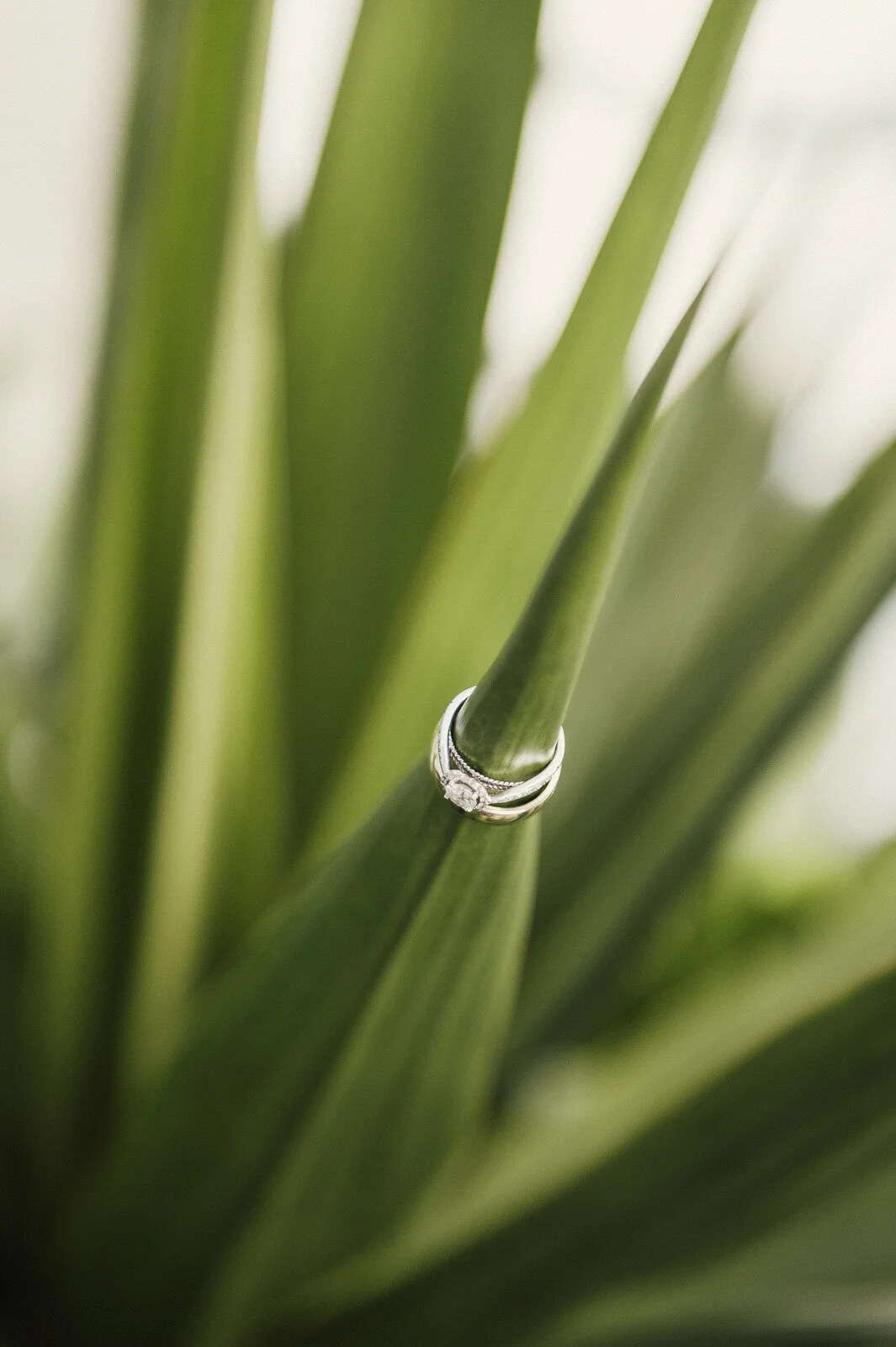RyanParkerPhoto_Wedding_Mauritius_A&C_DSC_9853.jpg