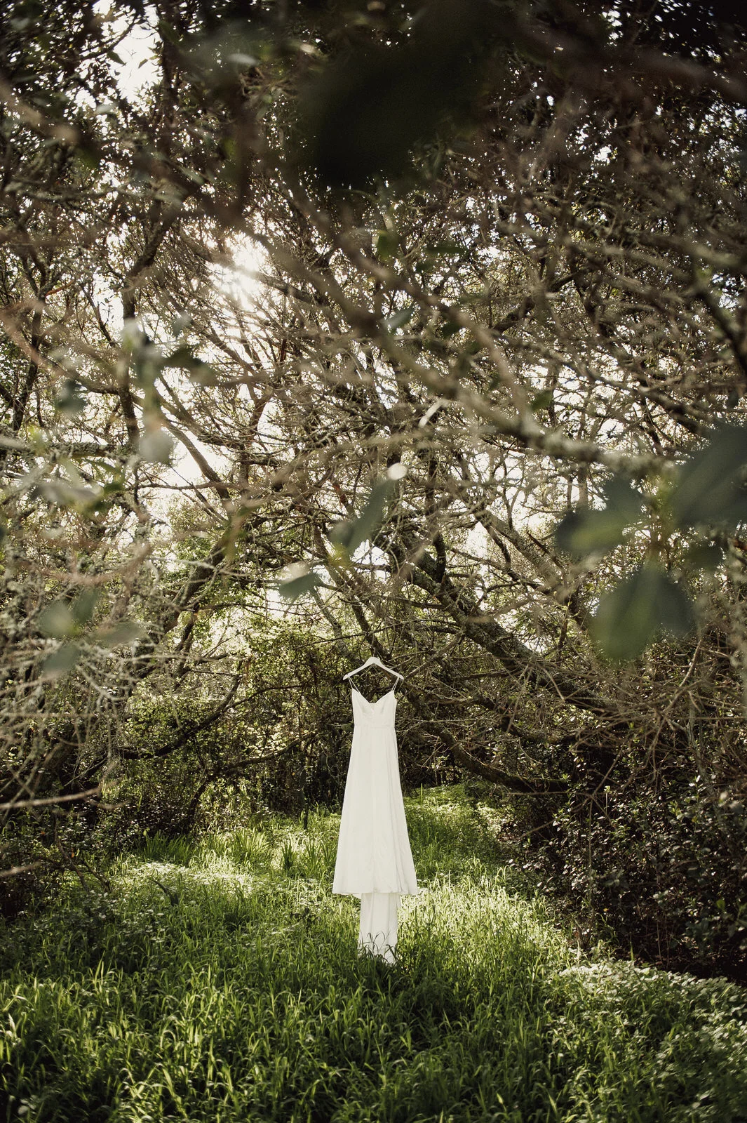 RyanParkerPhoto_Wedding_Hermanus_Springfontein_N&T_DSC_1306.jpg