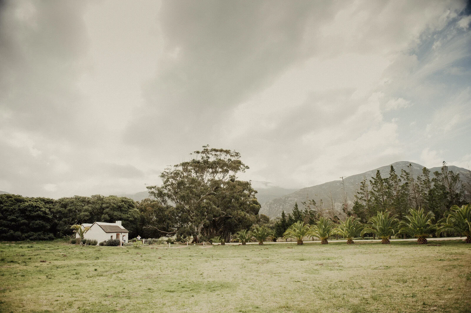 RyanParkerPhoto_Wedding_Hermanus_Springfontein_N&T_DSC_1514.jpg