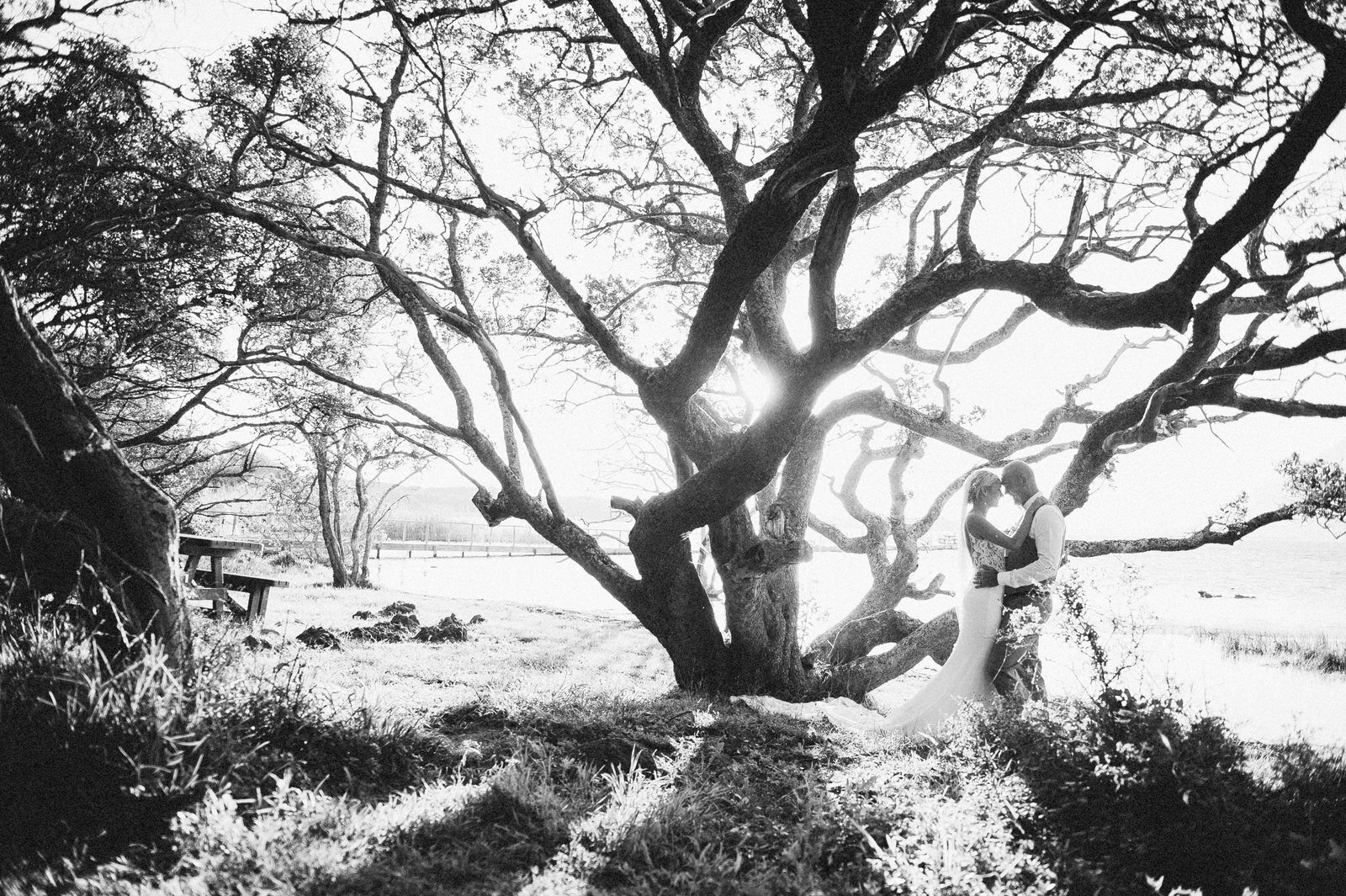 RyanParkerPhoto_Wedding_Hermanus_Mosaic_W&H_DSC_6778.jpg