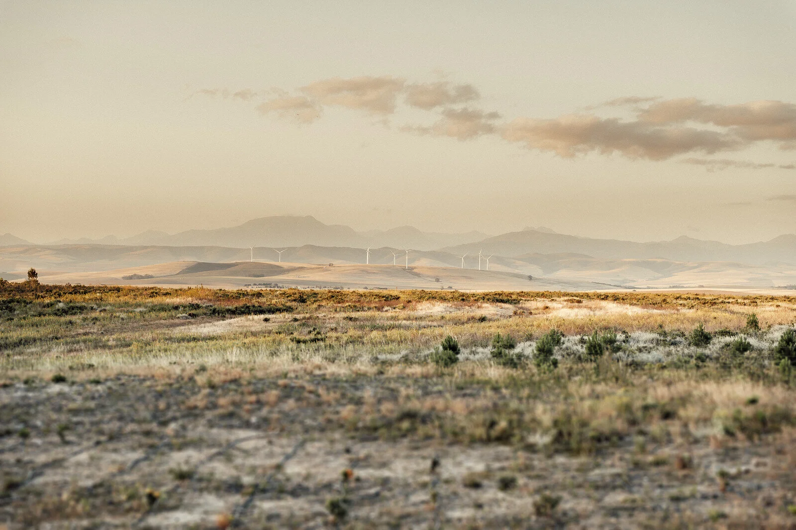 RyanParkerPhoto_Event_Hermanus_TheOneHeavenandEarth_DSC_8060.jpg
