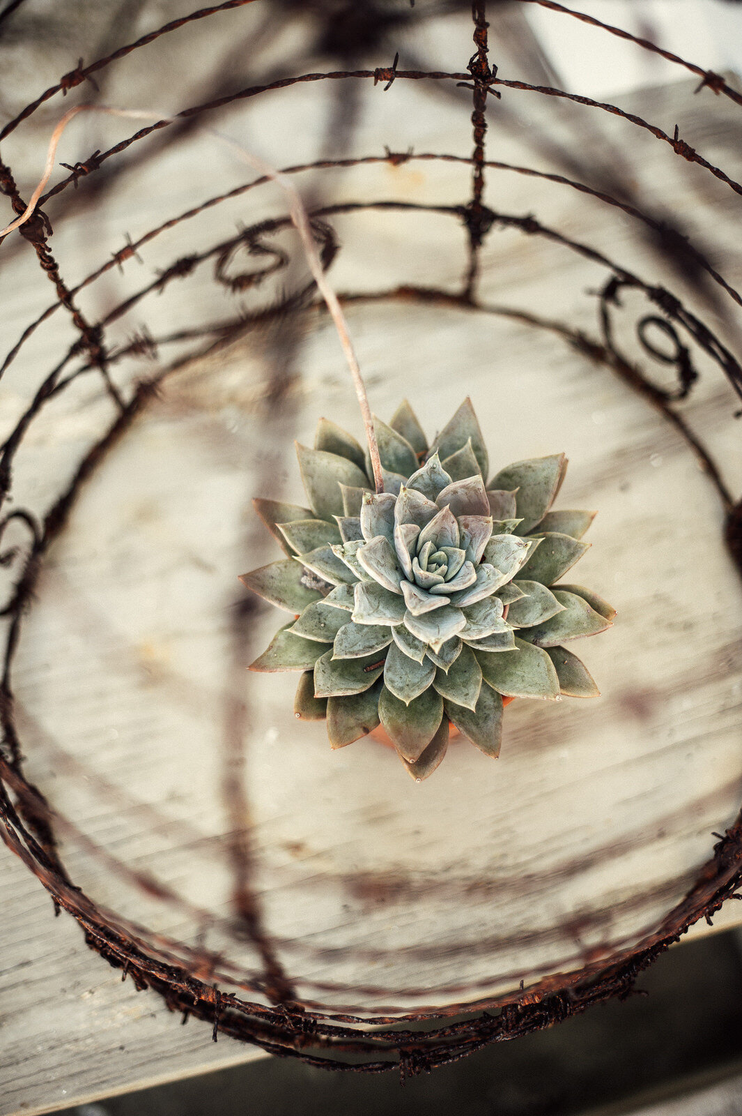 RyanParkerPhoto_Wedding_Gelukkie_Paternoster_J&R_DSC_0974.jpg