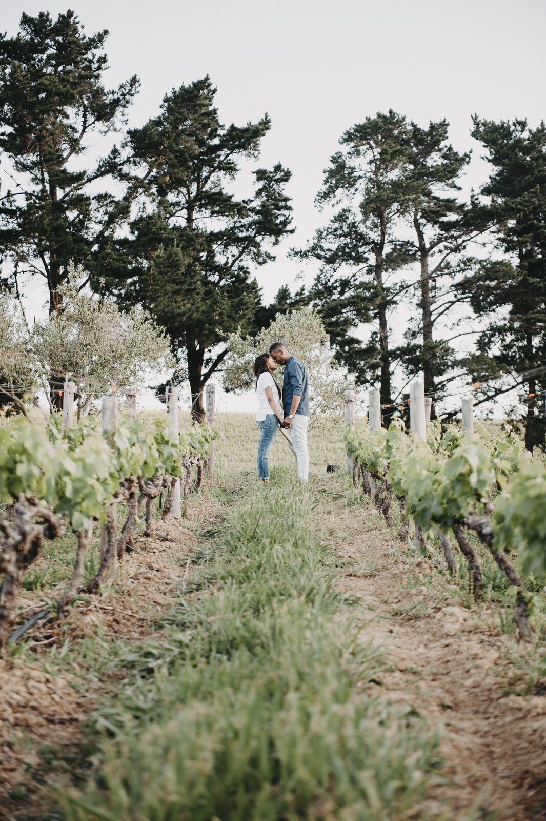 RyanParkerPhoto_Engagement_Hermamus_T&L_DSC_1426.jpg