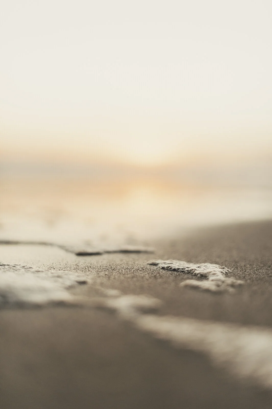 RyanParkerPhoto_Engagement_Hermamus_T&L_DSC_1539.jpg