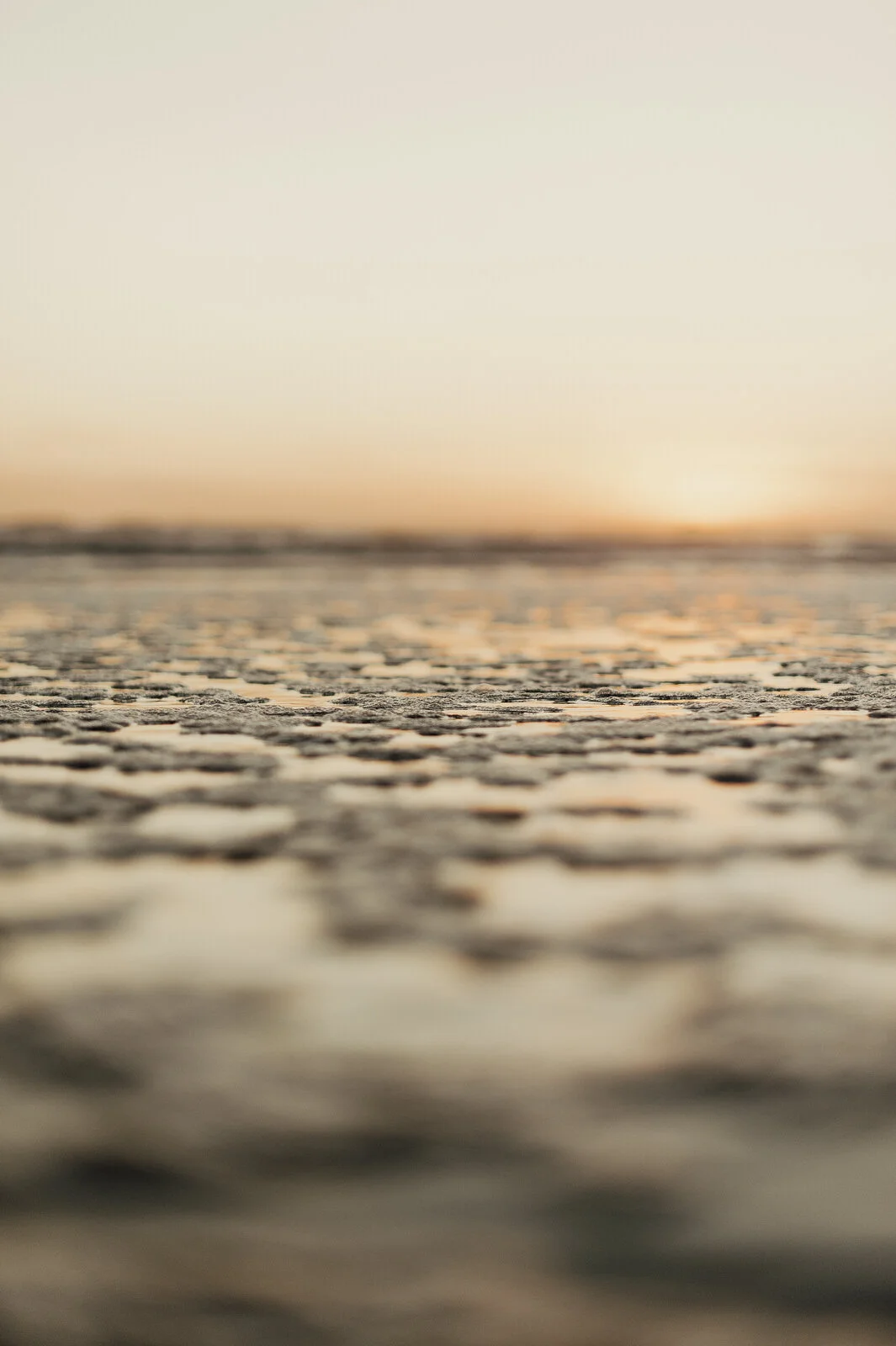 RyanParkerPhoto_Engagement_Hermamus_T&L_DSC_1541.jpg