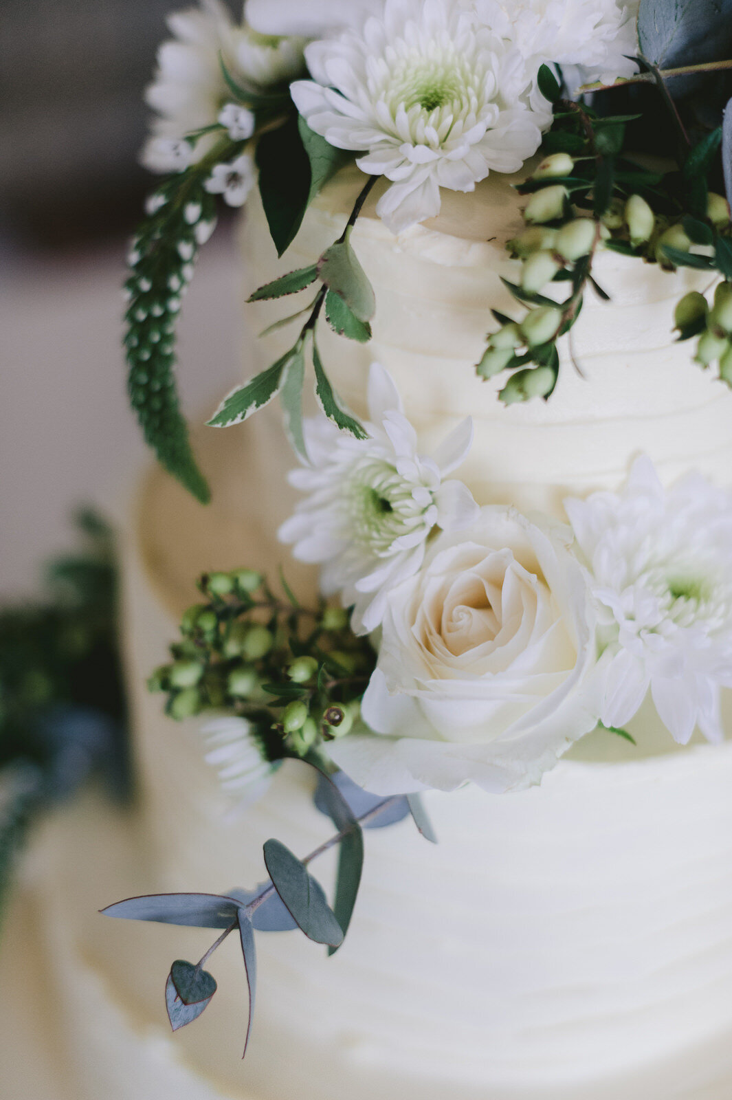 RyanParkerPhoto_Wedding_Franschoek_RicketyBridge_P&J_DSC_6181.jpg
