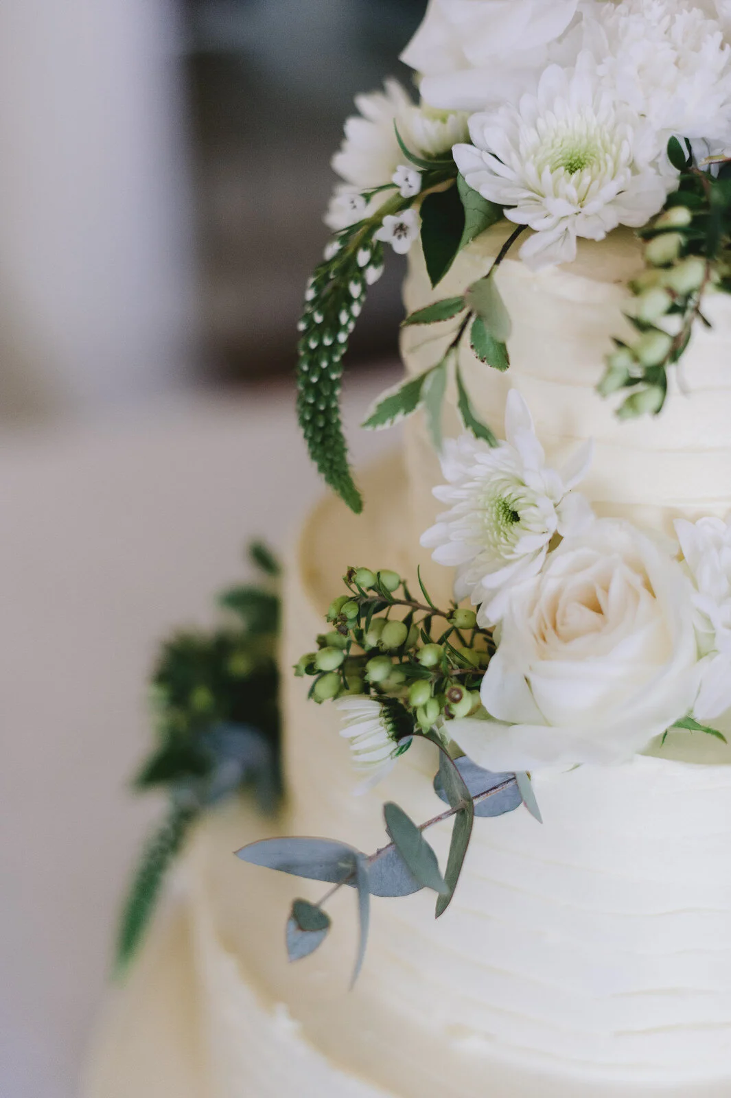 RyanParkerPhoto_Wedding_Franschoek_RicketyBridge_P&J_DSC_6182.jpg