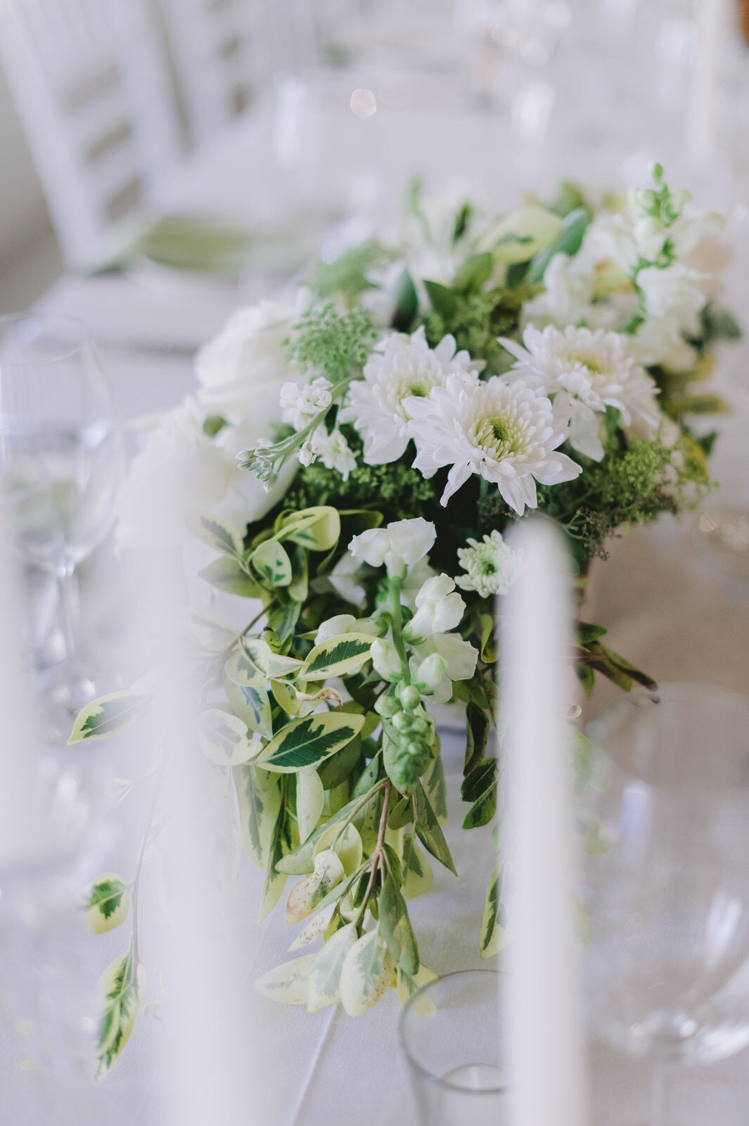 RyanParkerPhoto_Wedding_Franschoek_RicketyBridge_P&J_DSC_6186.jpg