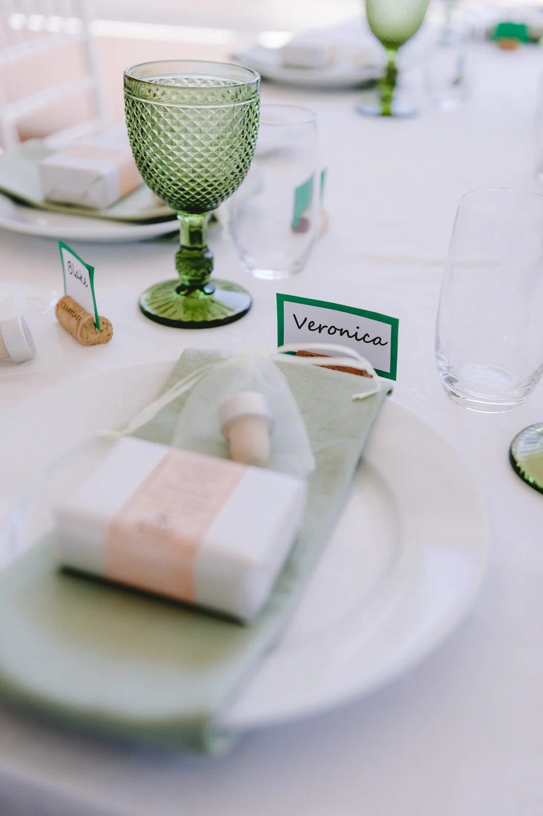 RyanParkerPhoto_Wedding_Franschoek_RicketyBridge_K&R_DSC_5058.jpg