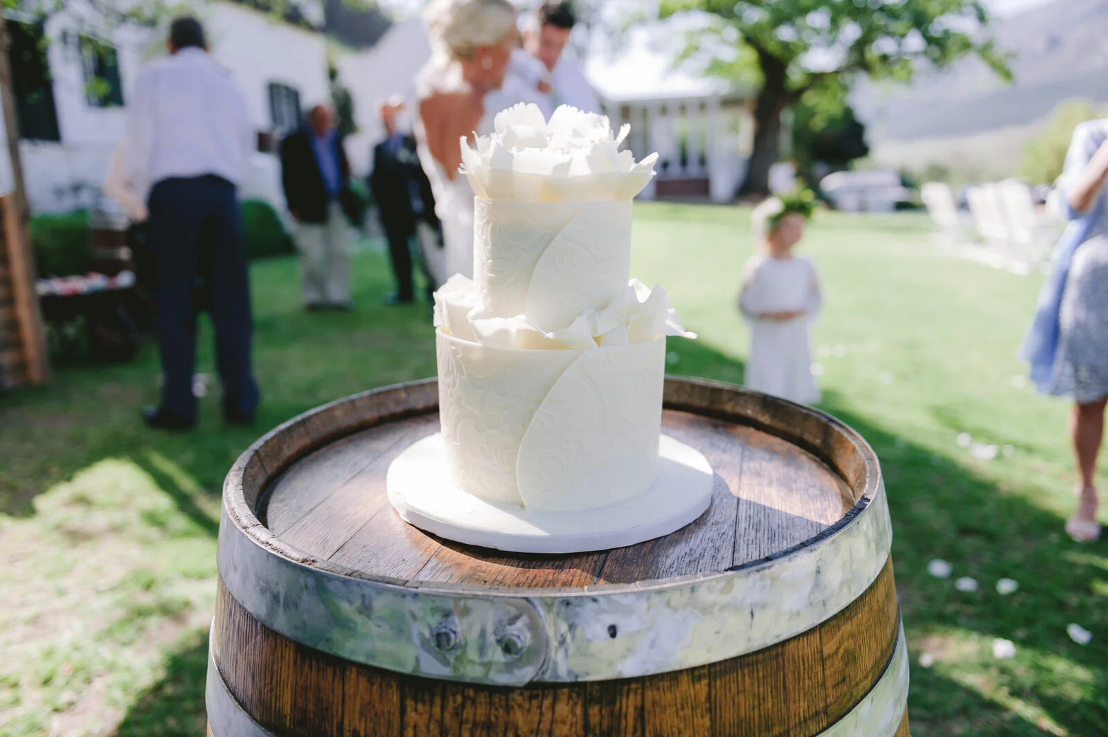 RyanParkerPhoto_Wedding_Franschoek_RicketyBridge_K&R_DSC_5576.jpg