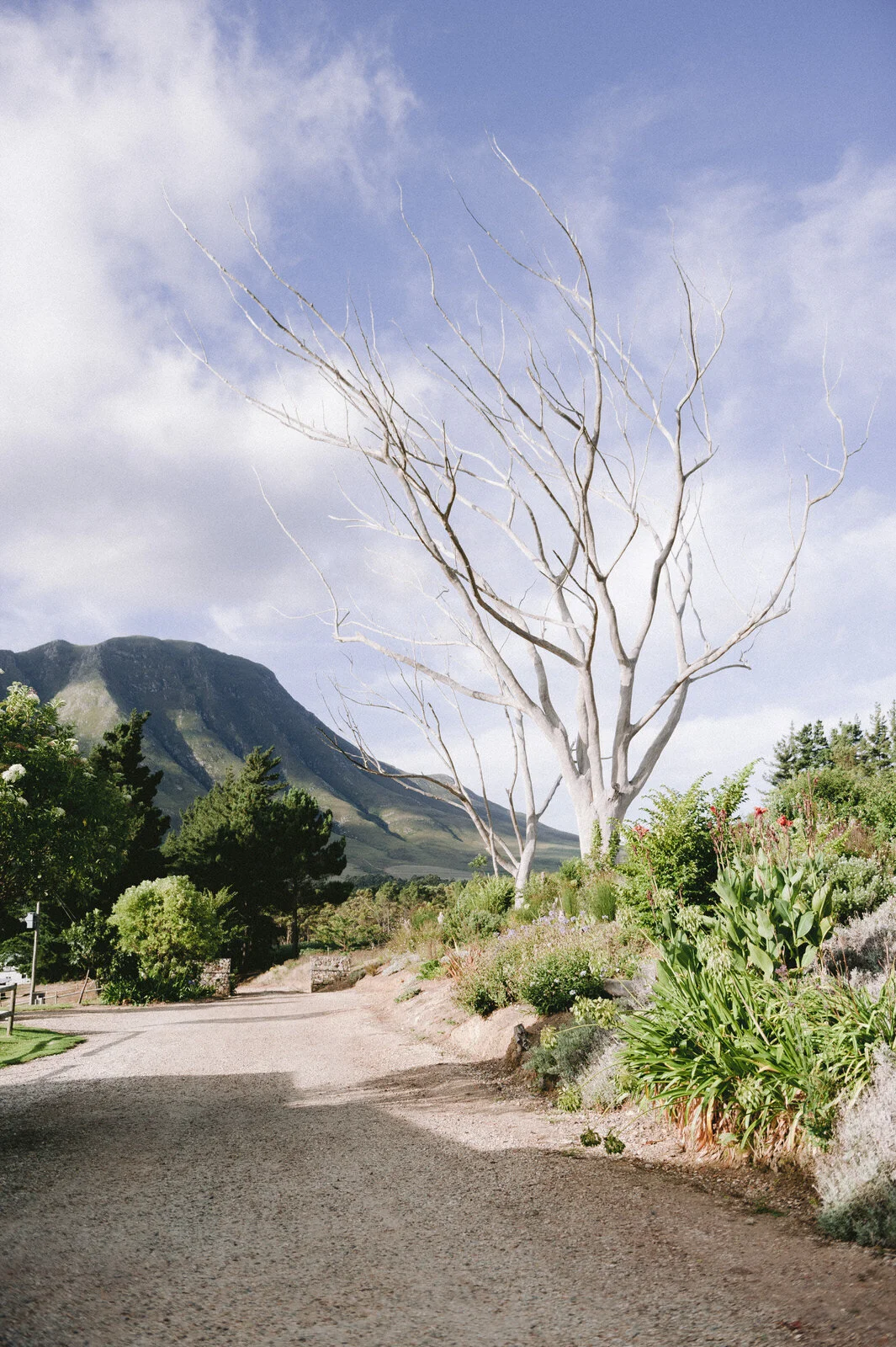RyanParkerPhoto_Wedding_Hermanus_CloudsEnd_S&T_DSC_2734.jpg