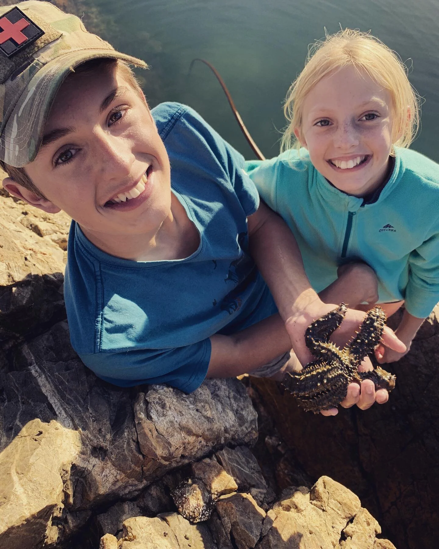 Starfish @ Rabies