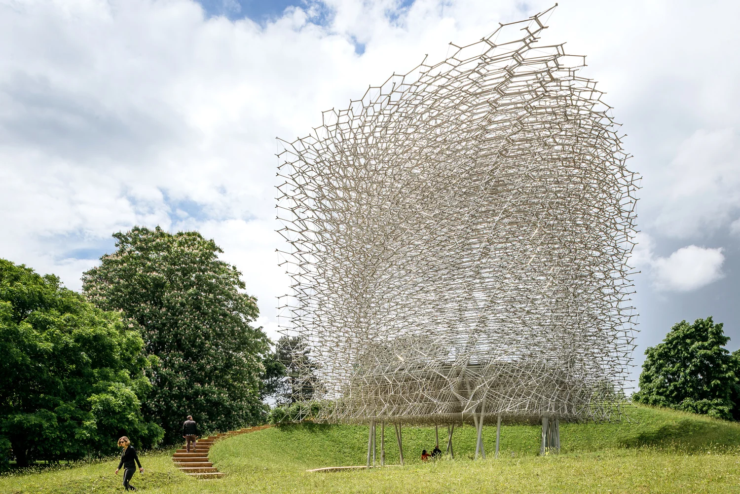 The Hive at Kew. Photograph by Dacian Groza