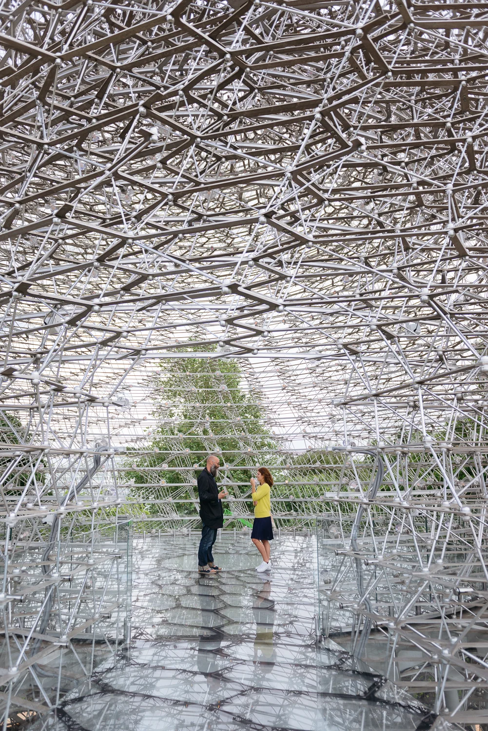 The Hive at Kew. Photograph by Dacian Groza