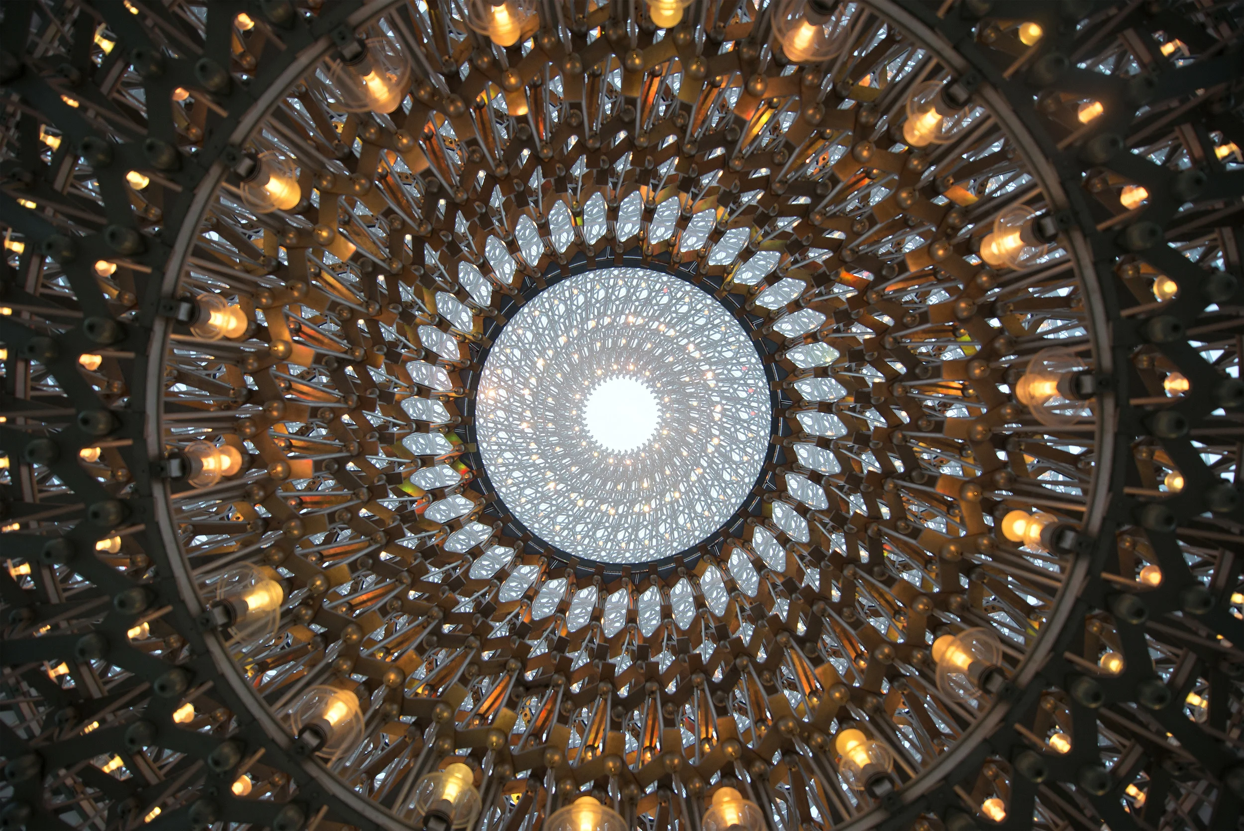 Photograph by Jeff Eden