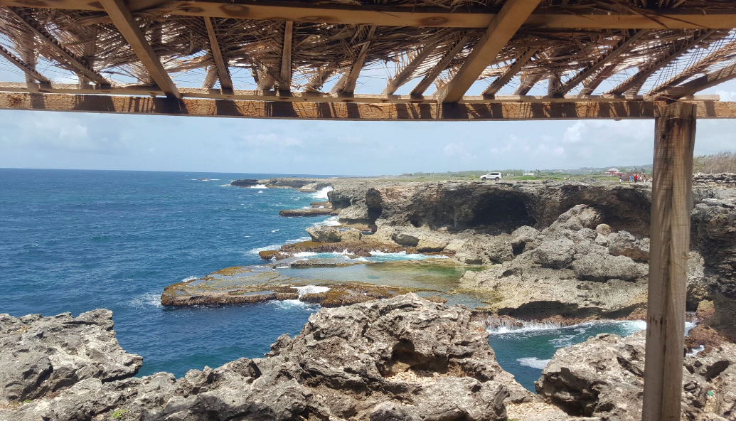 2016-Barbados-6-13-animal-flower-cave1.png