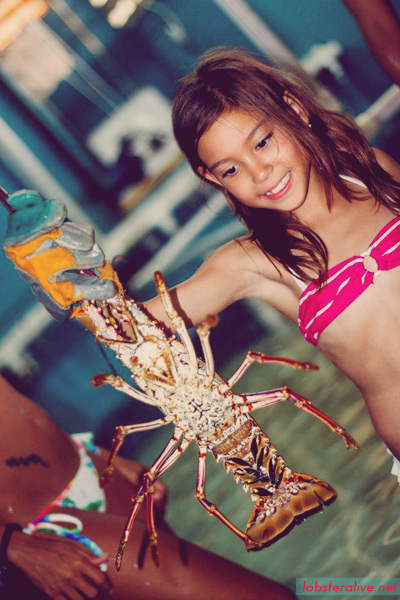LOBSTER-ALIVE-19.jpg