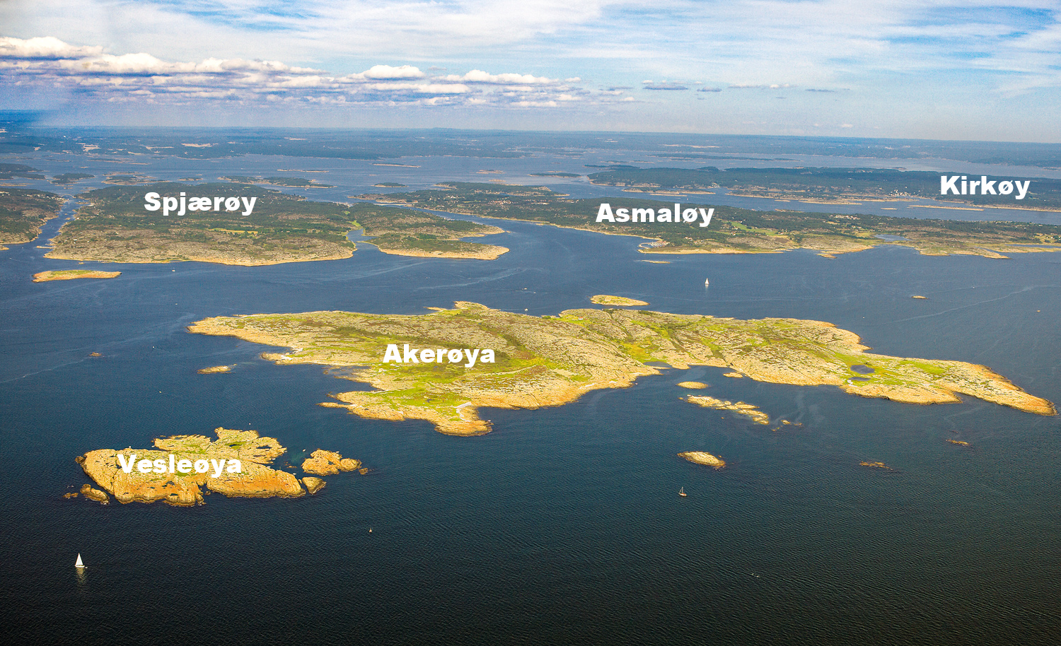 Akeroya-COPYRIGHTED.jpg