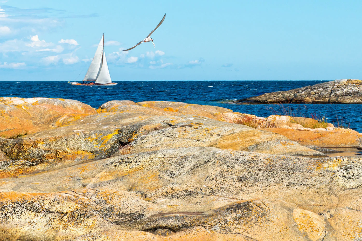 Mellom Hvaler i Østfold og Grebbestad i Bohuslän ligger noe av det vakreste havområdet i hele Skandinavia; En fantastisk skjærgård, nærmest uberørt natur på øyer og holmer, og et hav som skjuler både unike korallrev og fiskeslag. Området er blitt et eldorado for en stadig større turisme – både til vanns og til land. I 2009 ble det etablert en norsk–svensk «union» i området: Ytre Hvaler og Kosterhavet nasjonalparker med totalt 800 kvadratkilometer vernet natur på hav og land.