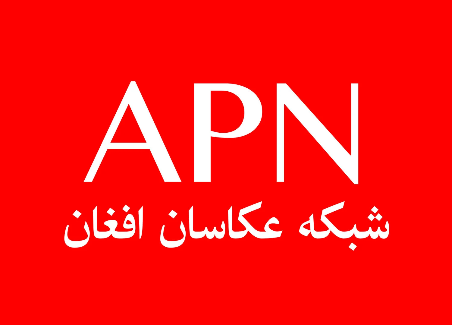 APN_final+logo.jpg