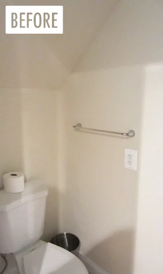 Toilet before