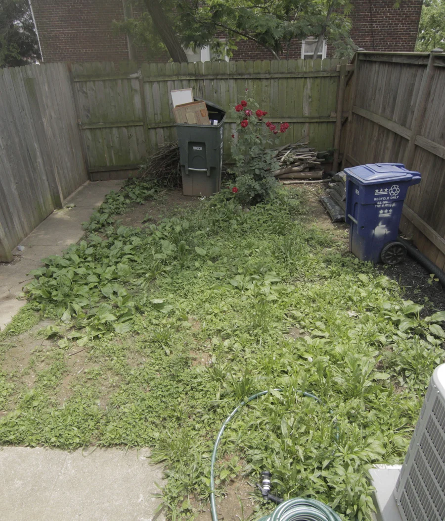 Before: Back yard on move in day was all weeds