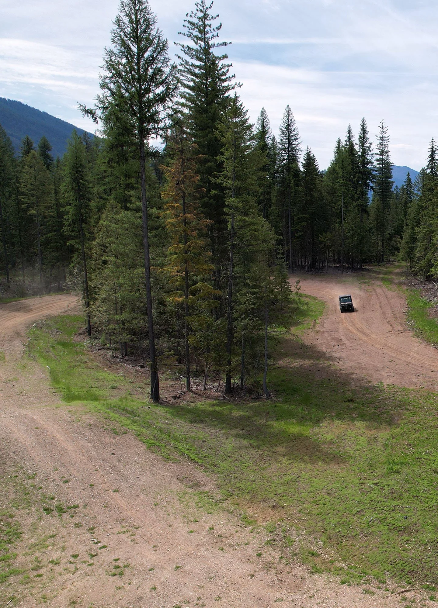 pine forest utv track-hairpin turn.jpg