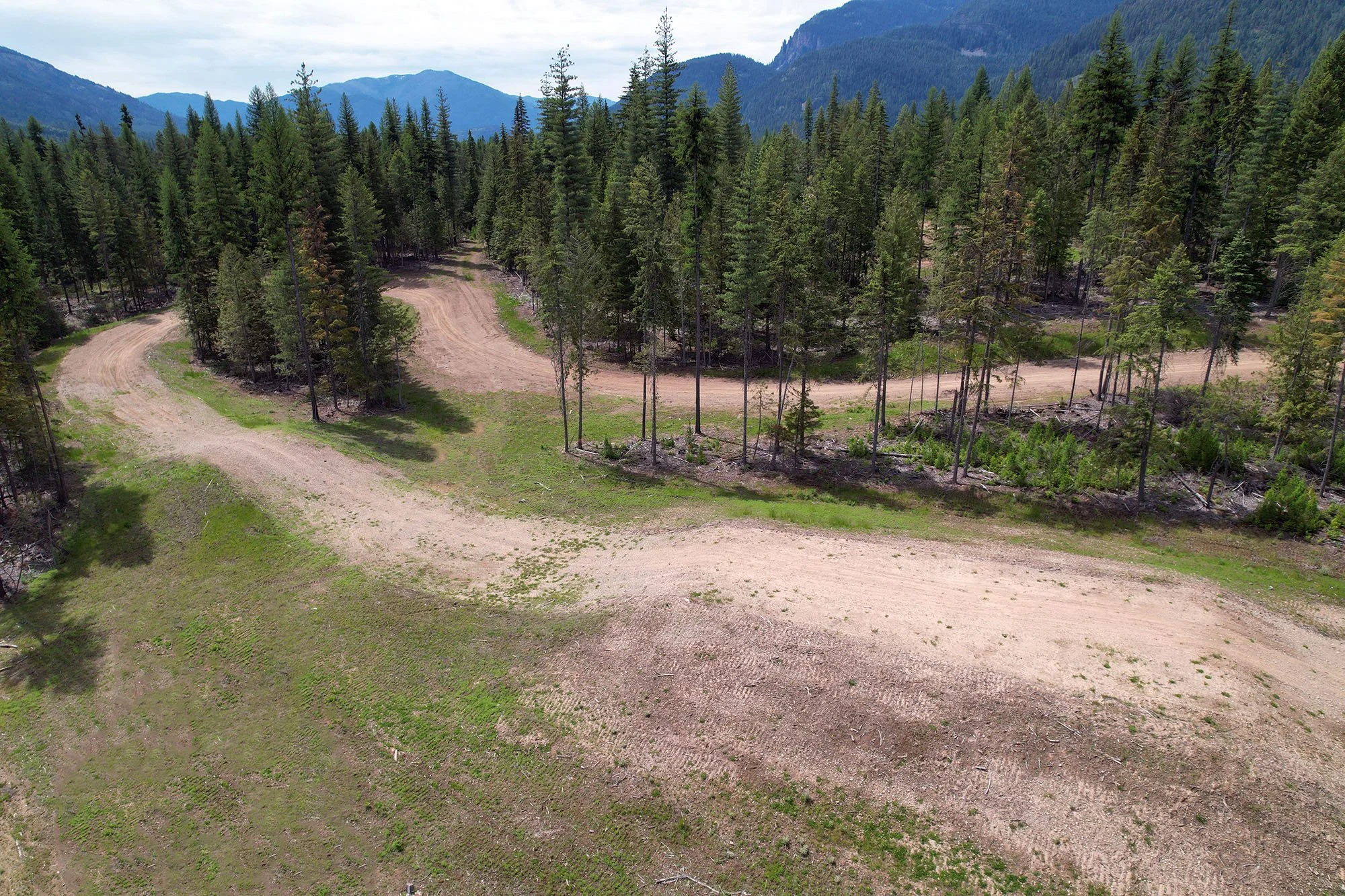 pine forest utv track-tabletop jump.jpg