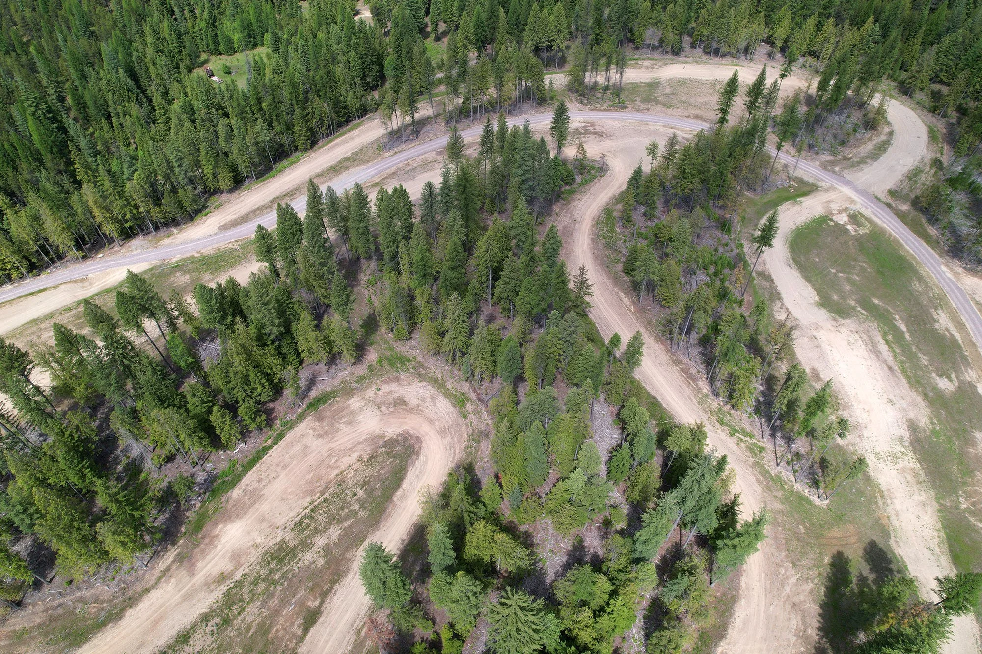 pine forest utv track-turns from above.jpg