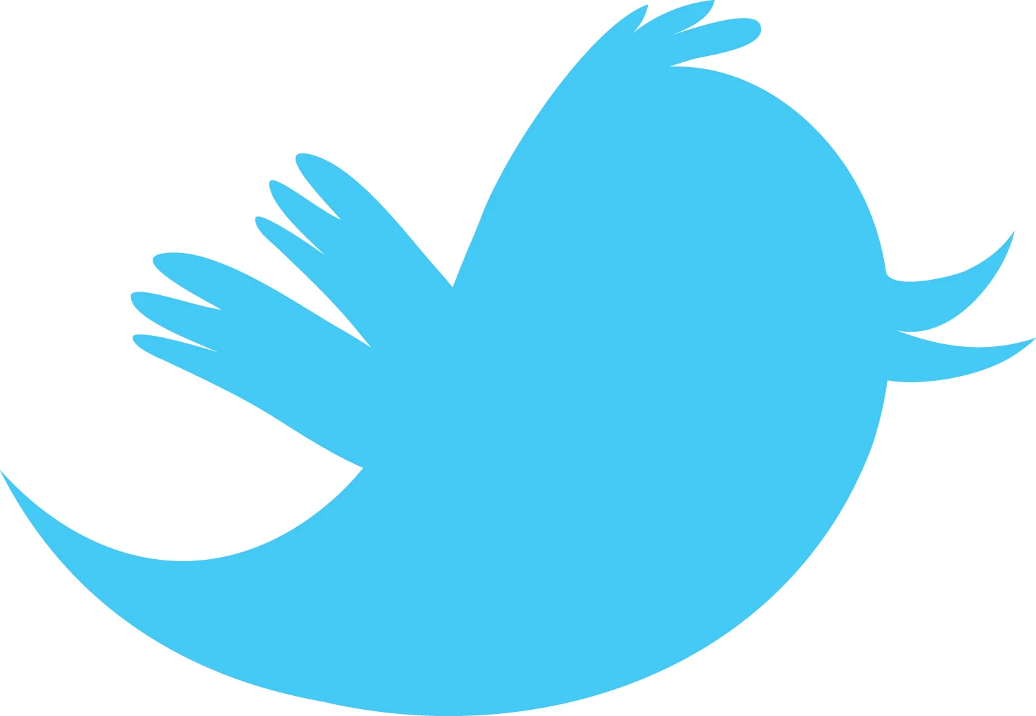 twitter_silo_bus_card_bird.jpg
