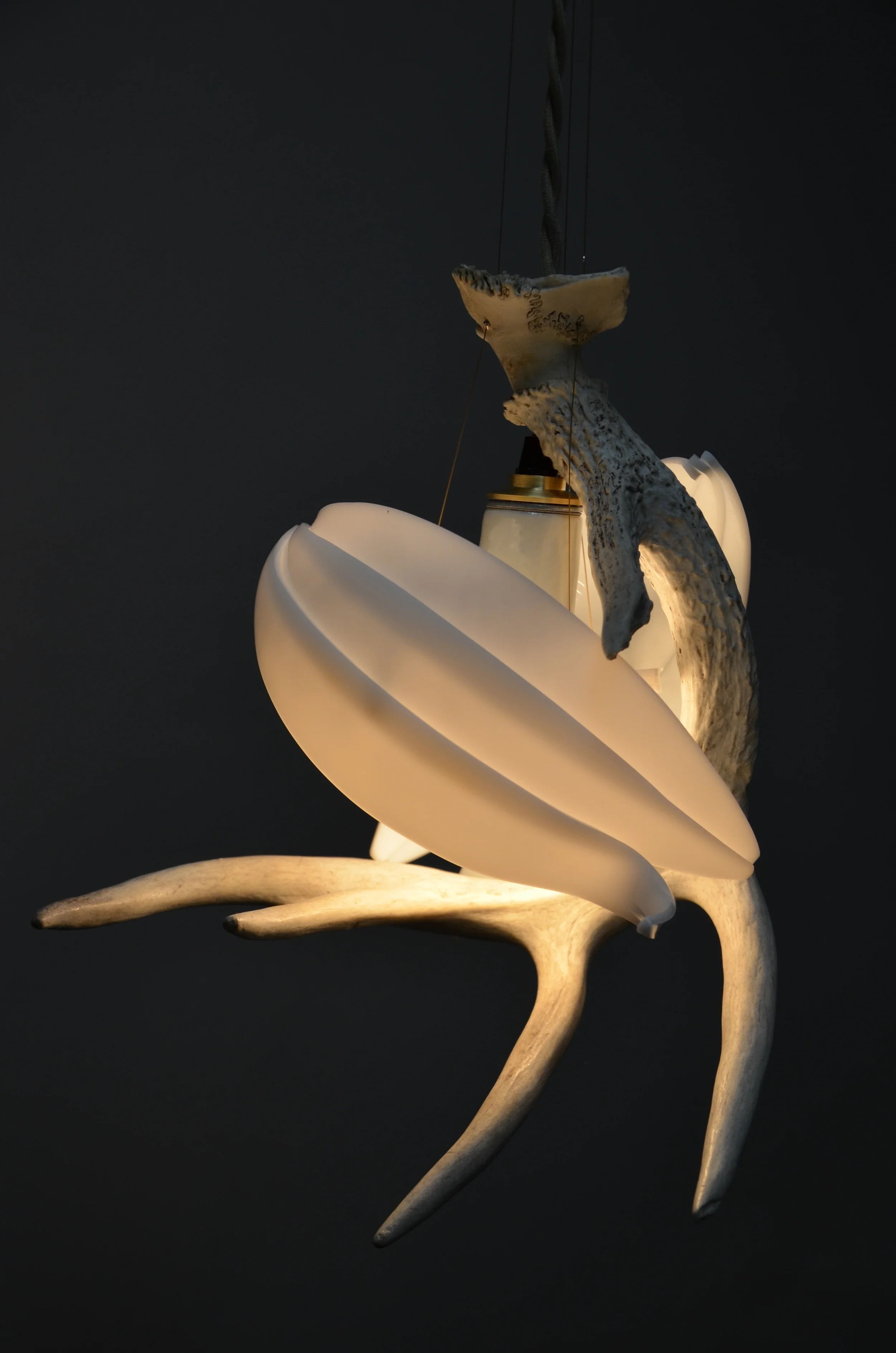         “The joy of the prairie lies in its subtlety. It is so easy—too easy—to be swept away by&nbsp;mountain and ocean vistas. A prairie, on the other hand, requests the favor of your&nbsp;closer attention. It does not divulge itself to mere passer