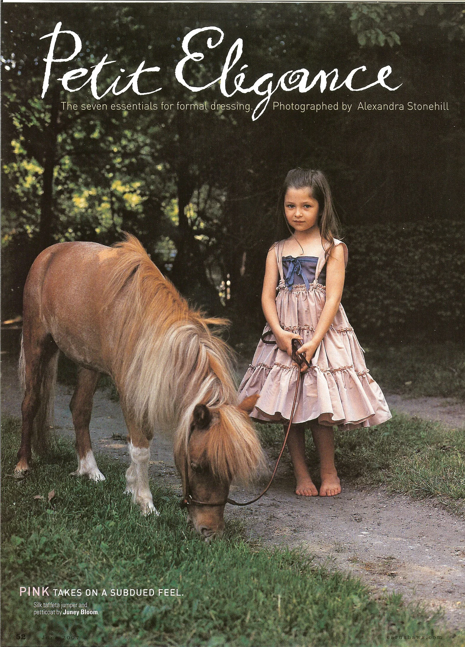 Earnshaws horse farm.jpg