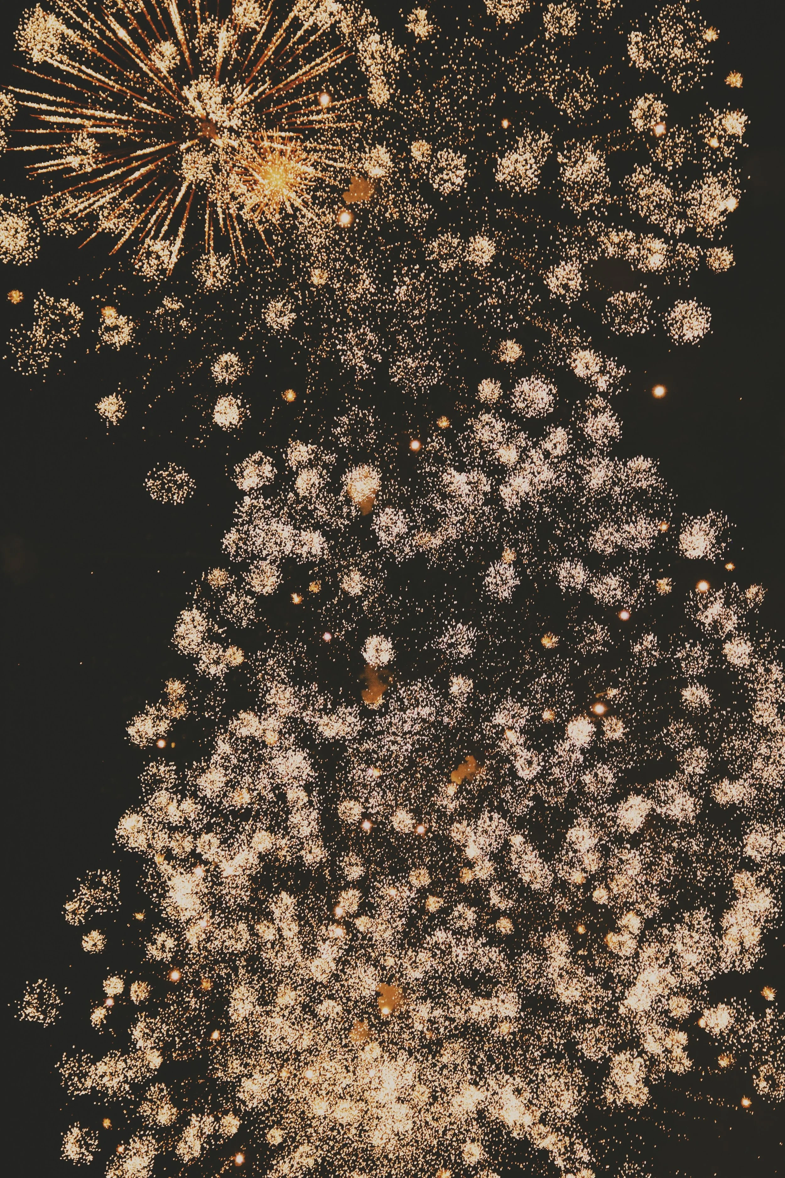 yiran-yang-lo_pwIr9U1k-unsplash.jpg