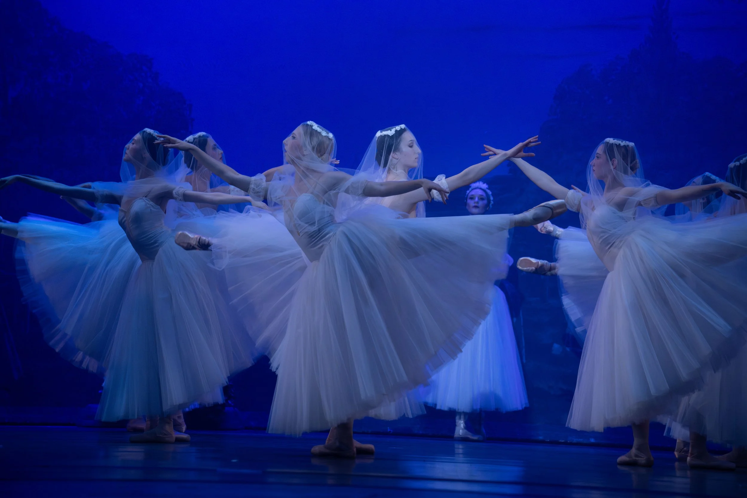 GiselleFRIsemidressKate H.jpg