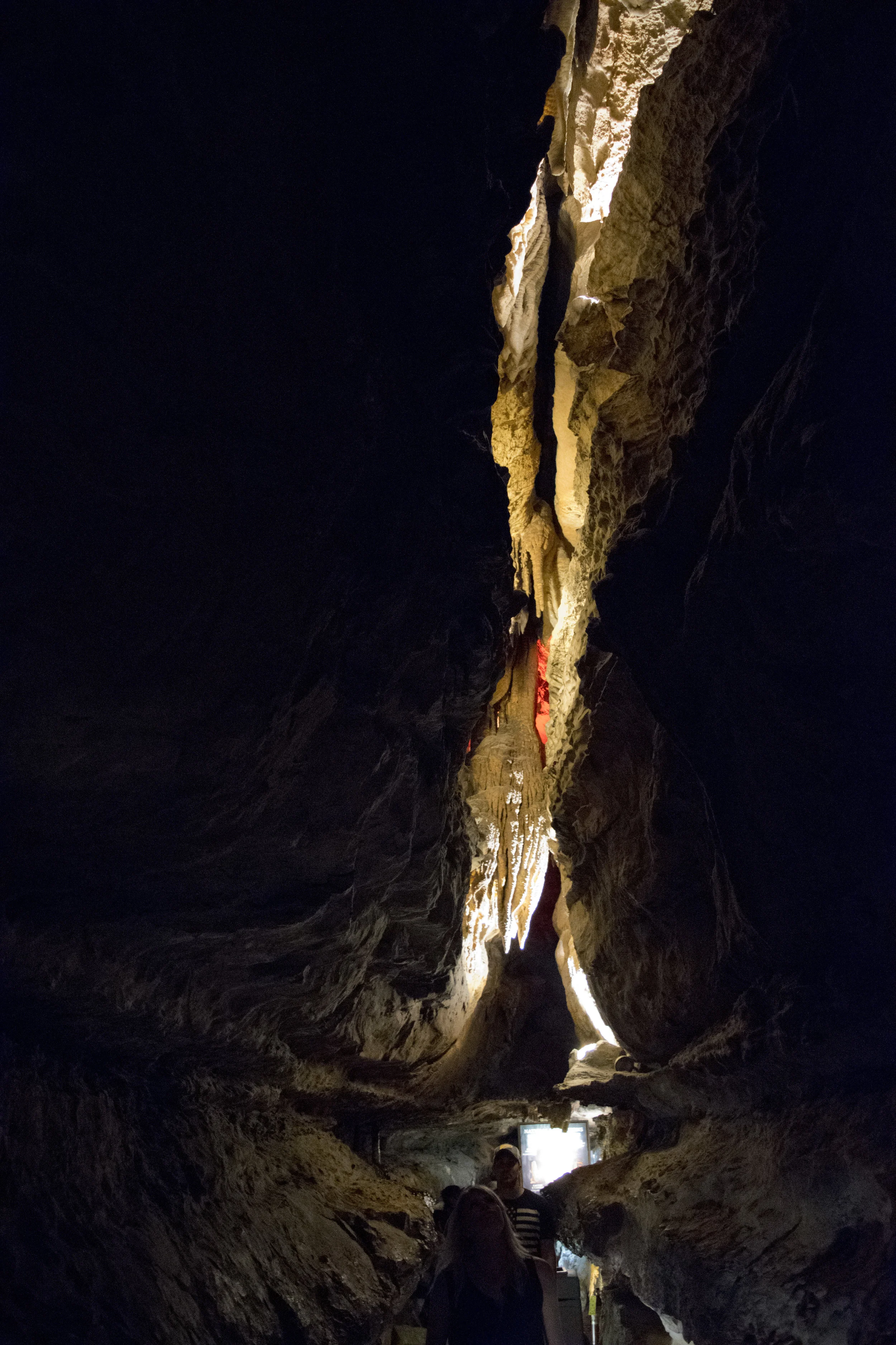 dsc_3647.jpg