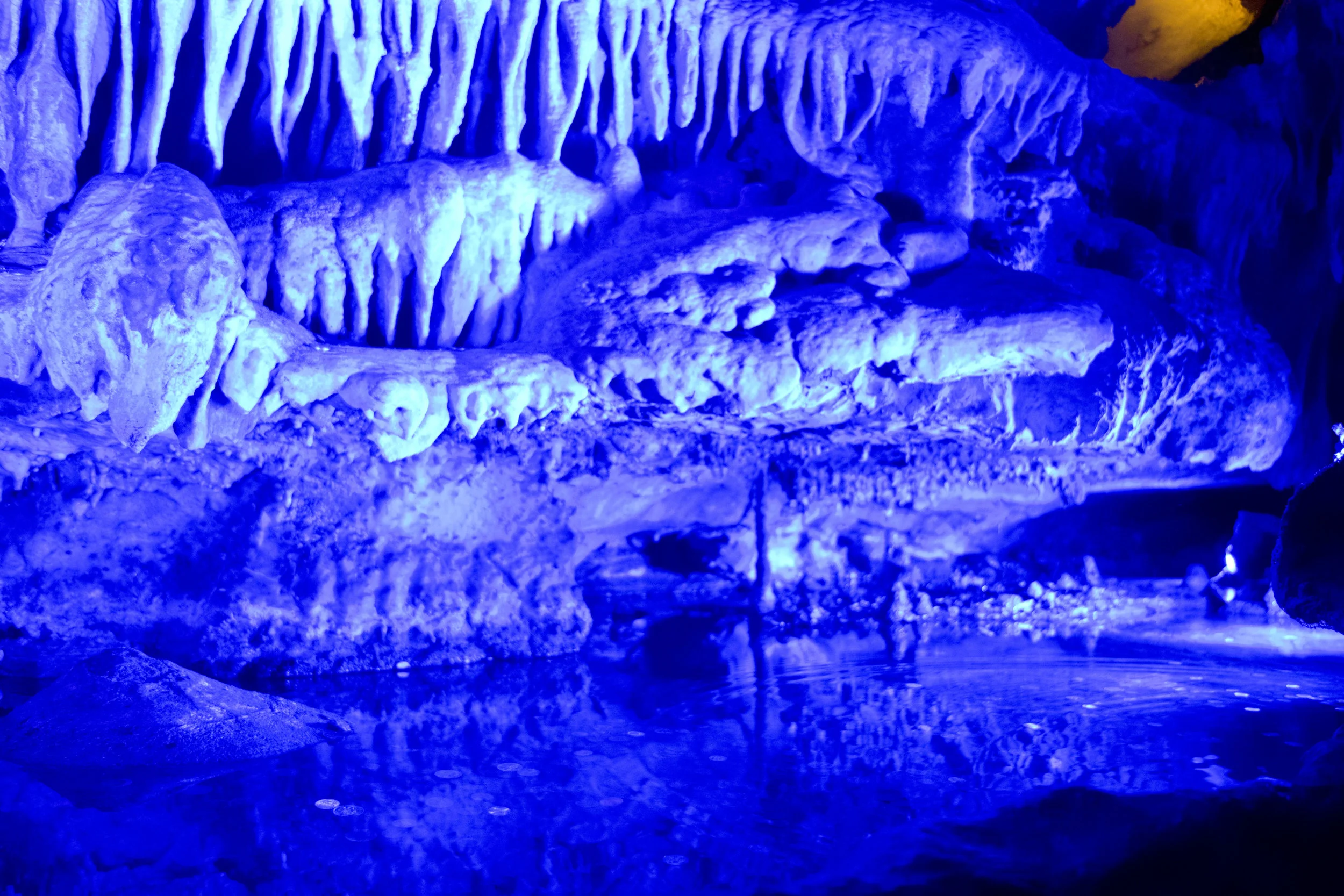 dsc_3666.jpg