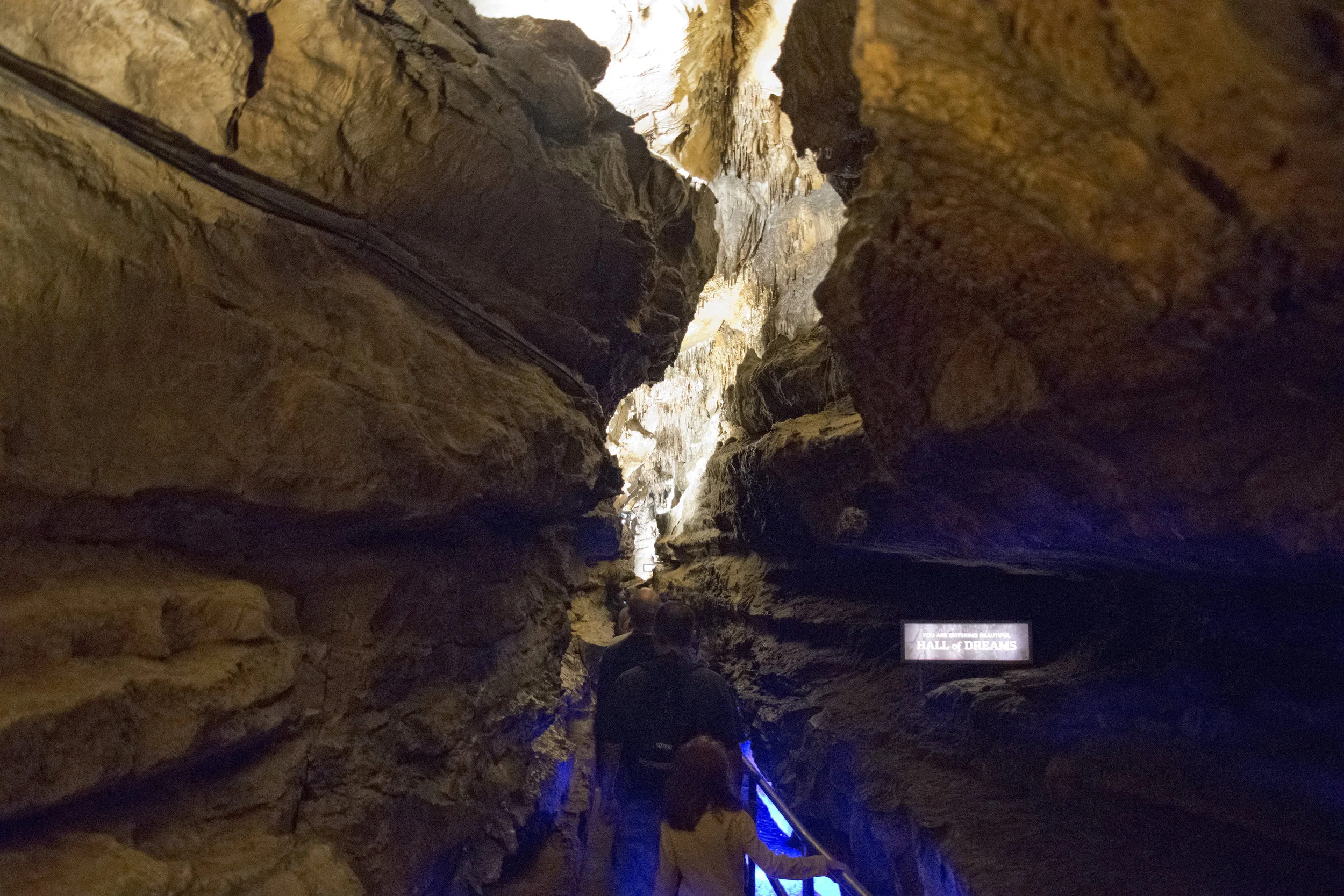 dsc_3667.jpg