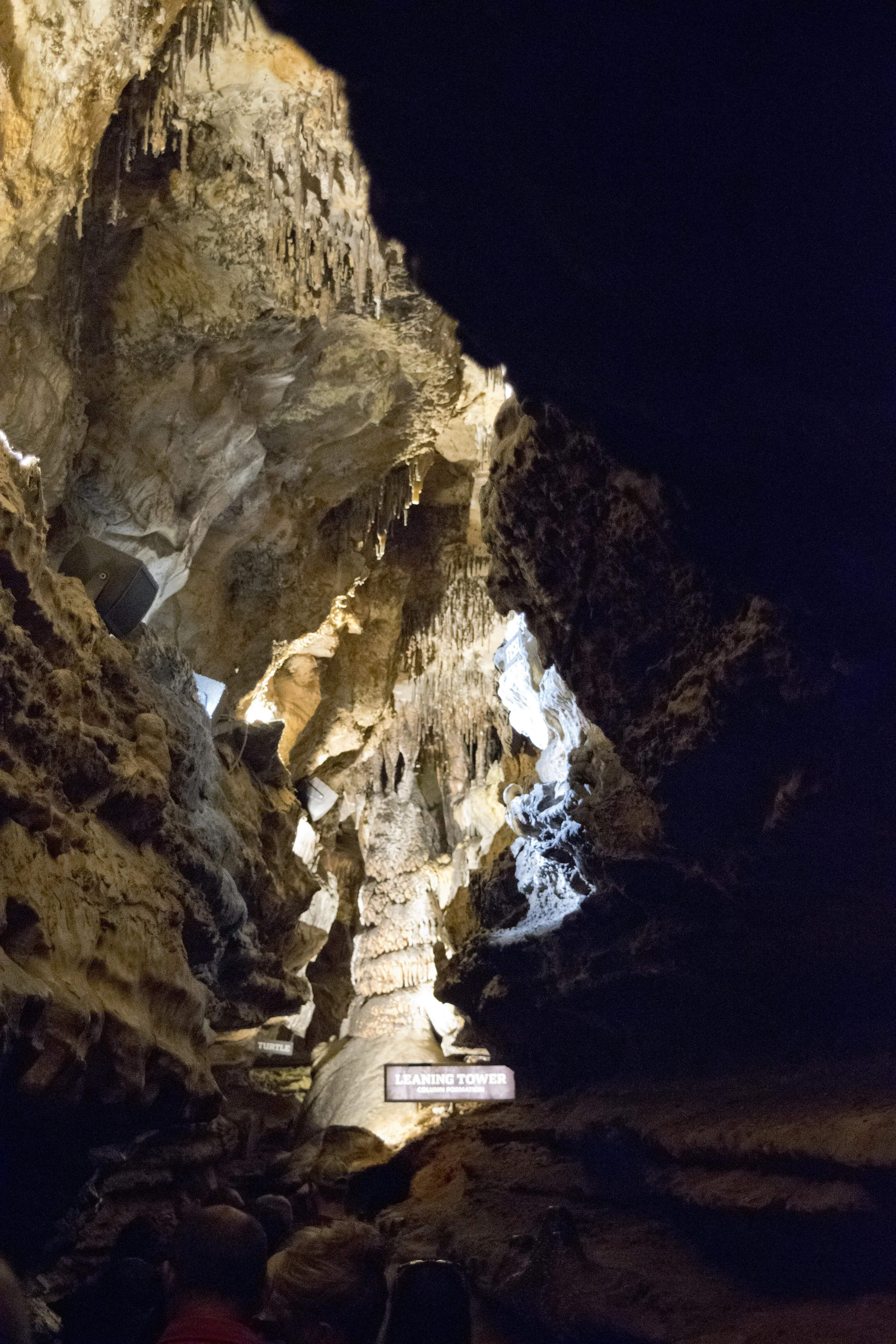 dsc_3685.jpg