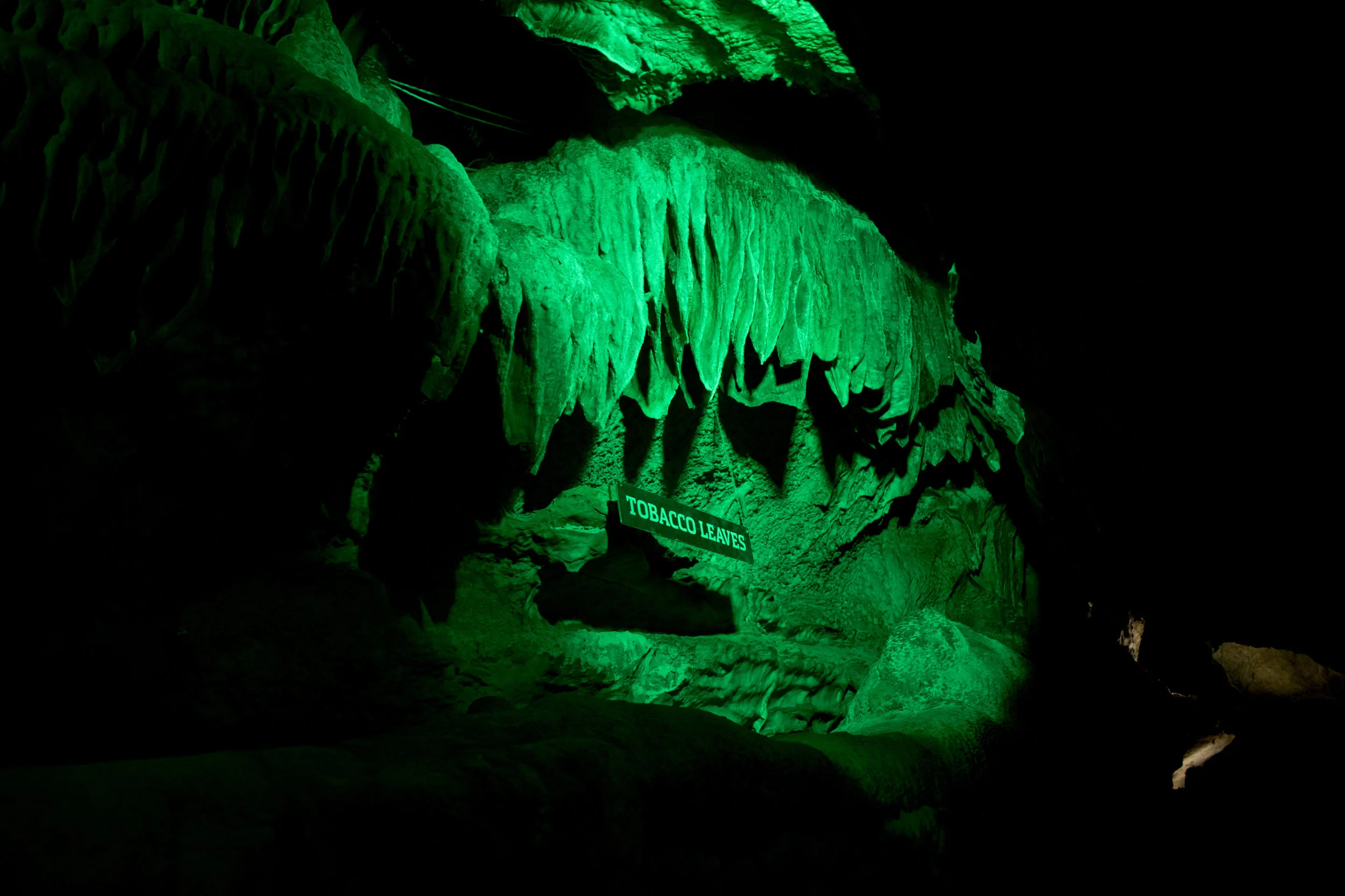 dsc_3708.jpg