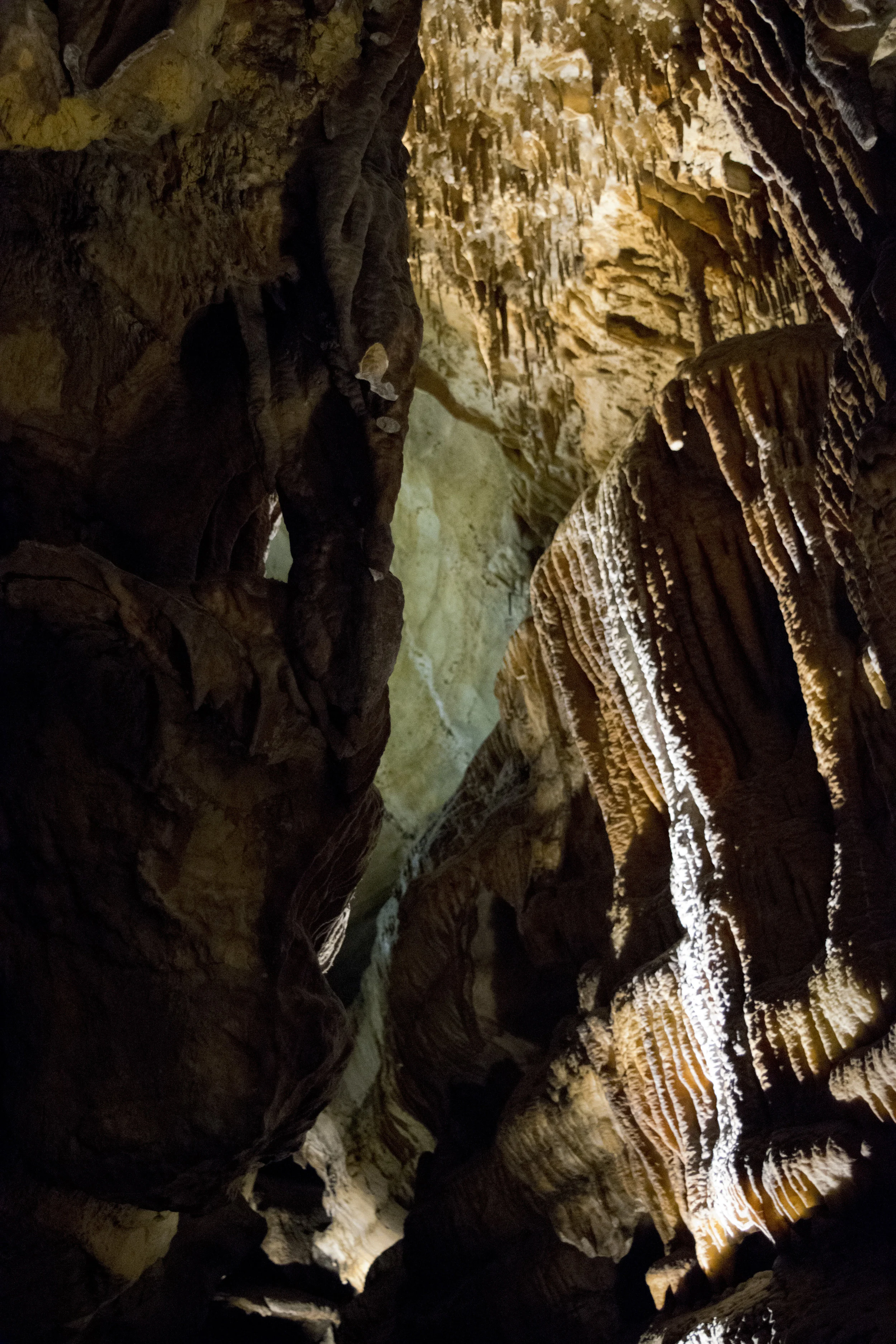 dsc_3690.jpg