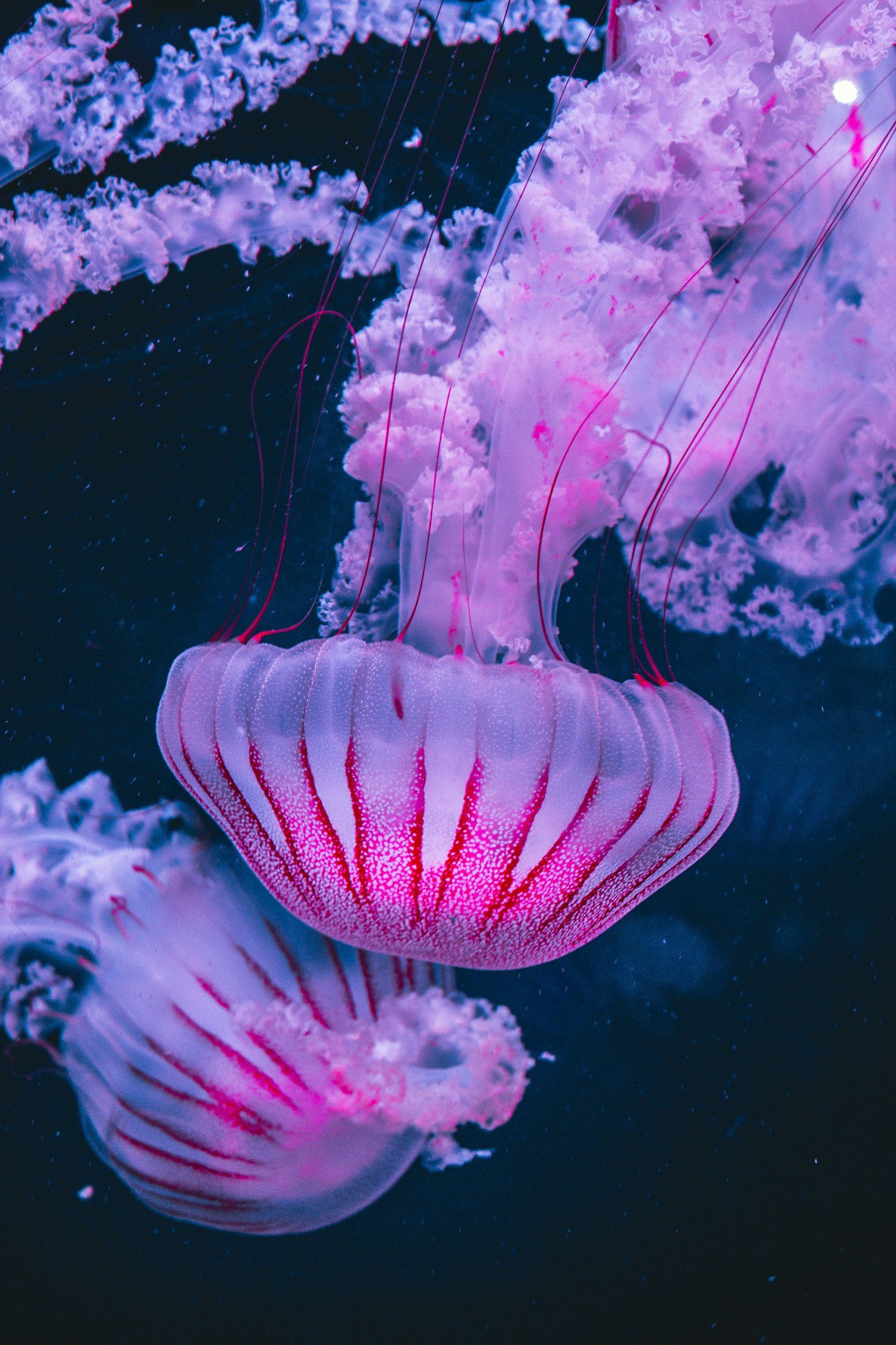 unsplash-image-Fo4_-oKnxjE.jpg