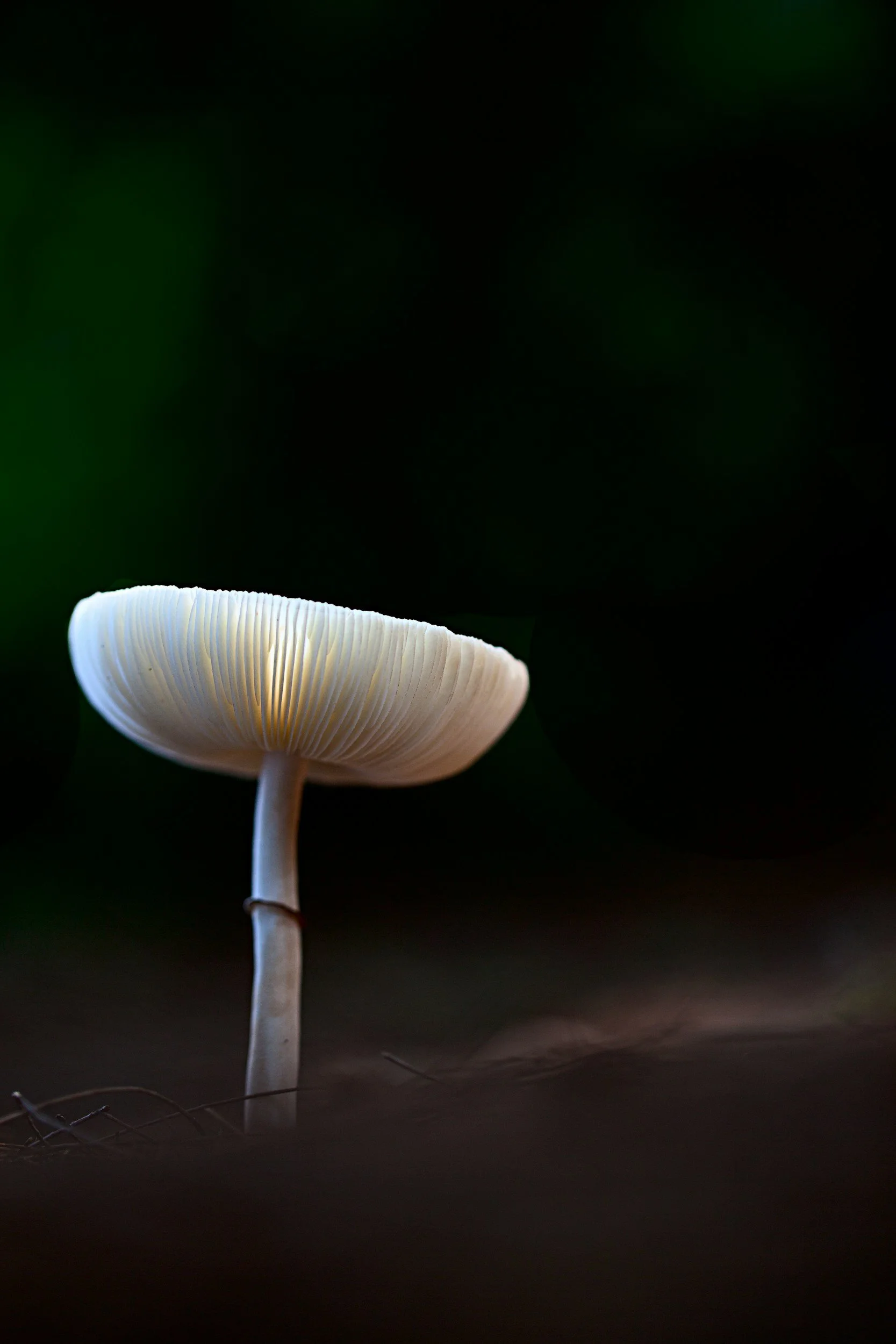 unsplash-image-xwiO6w6XEiM.jpg