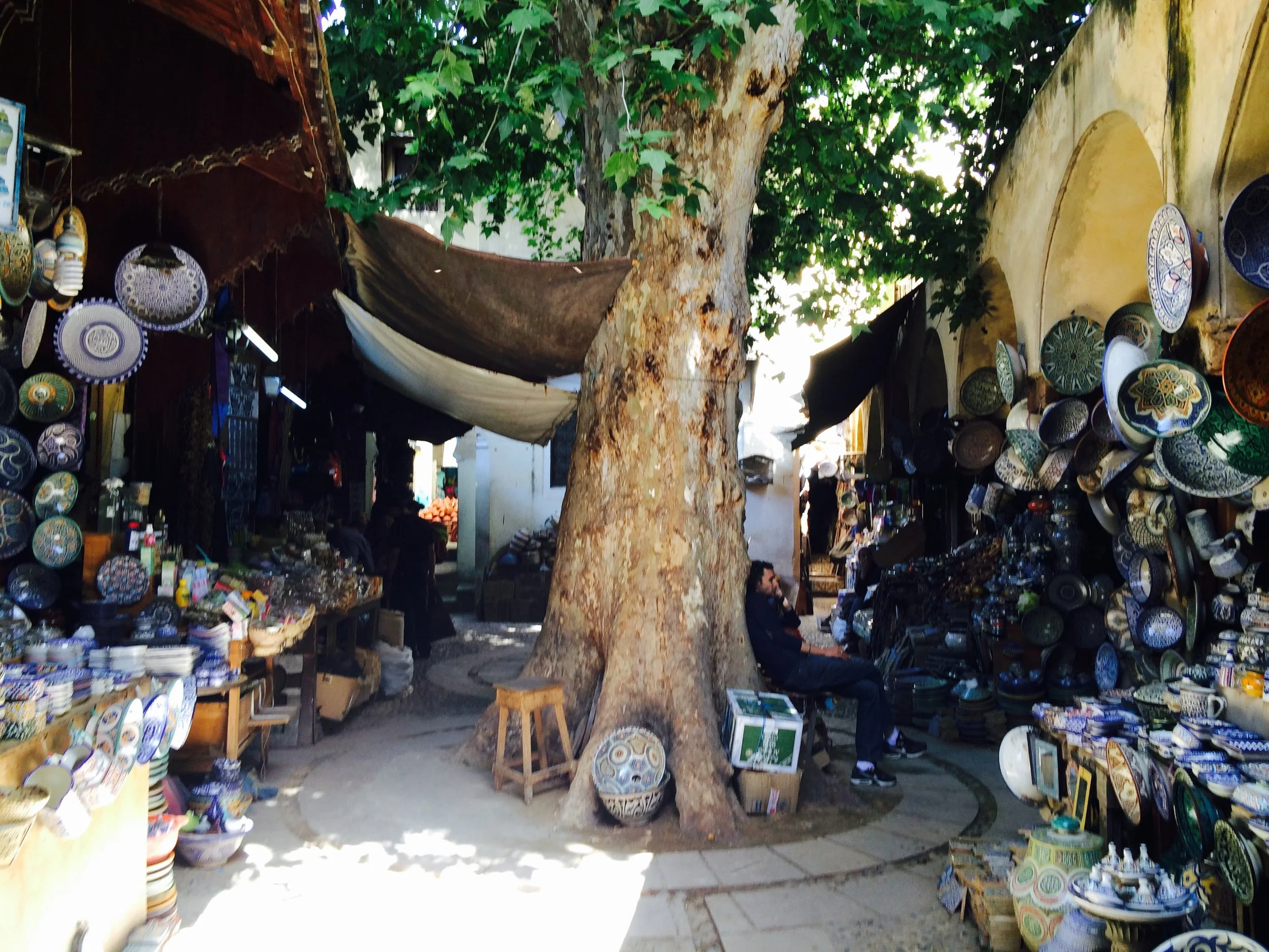Morocco Day II - Olive Asiago Quick Bread