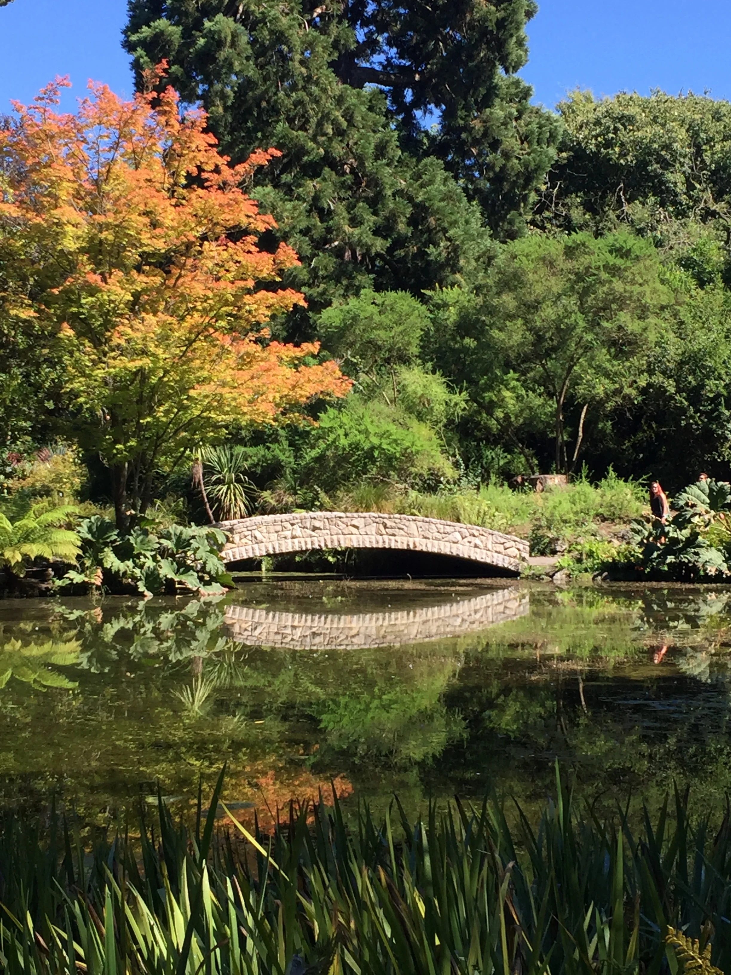 Christchurch: A City Rebuilding