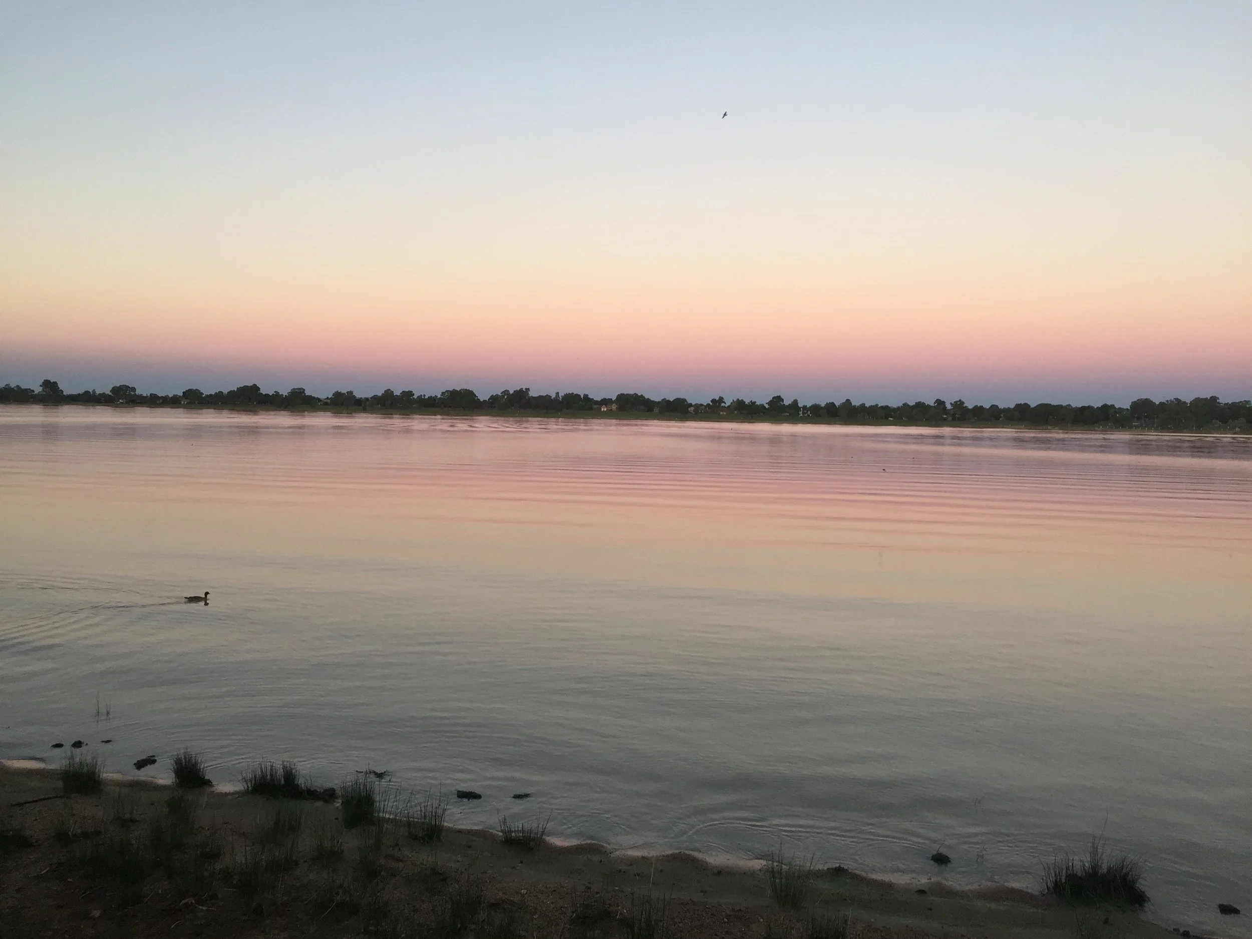 Wagga Wagga: A Slice of Home