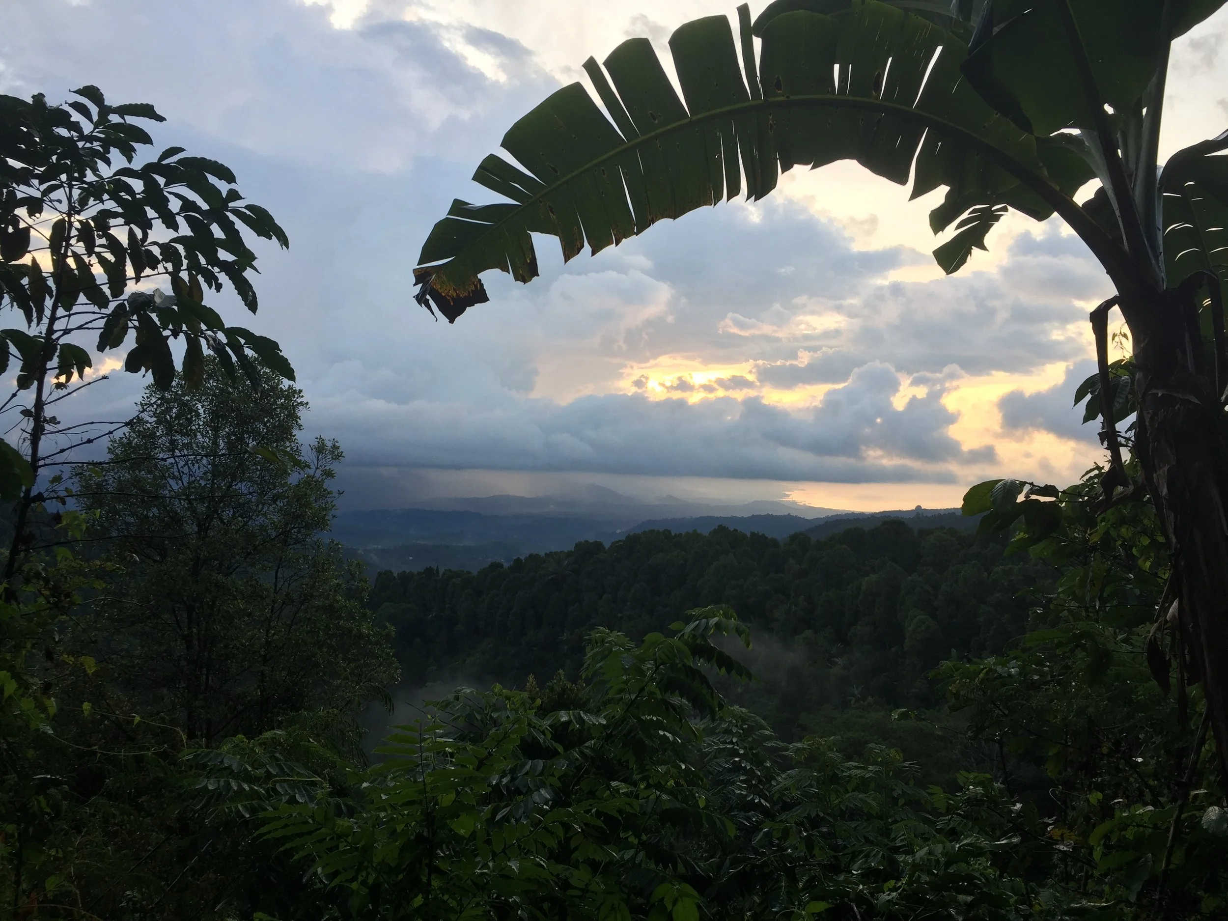 Munduk: Out on a Ridge