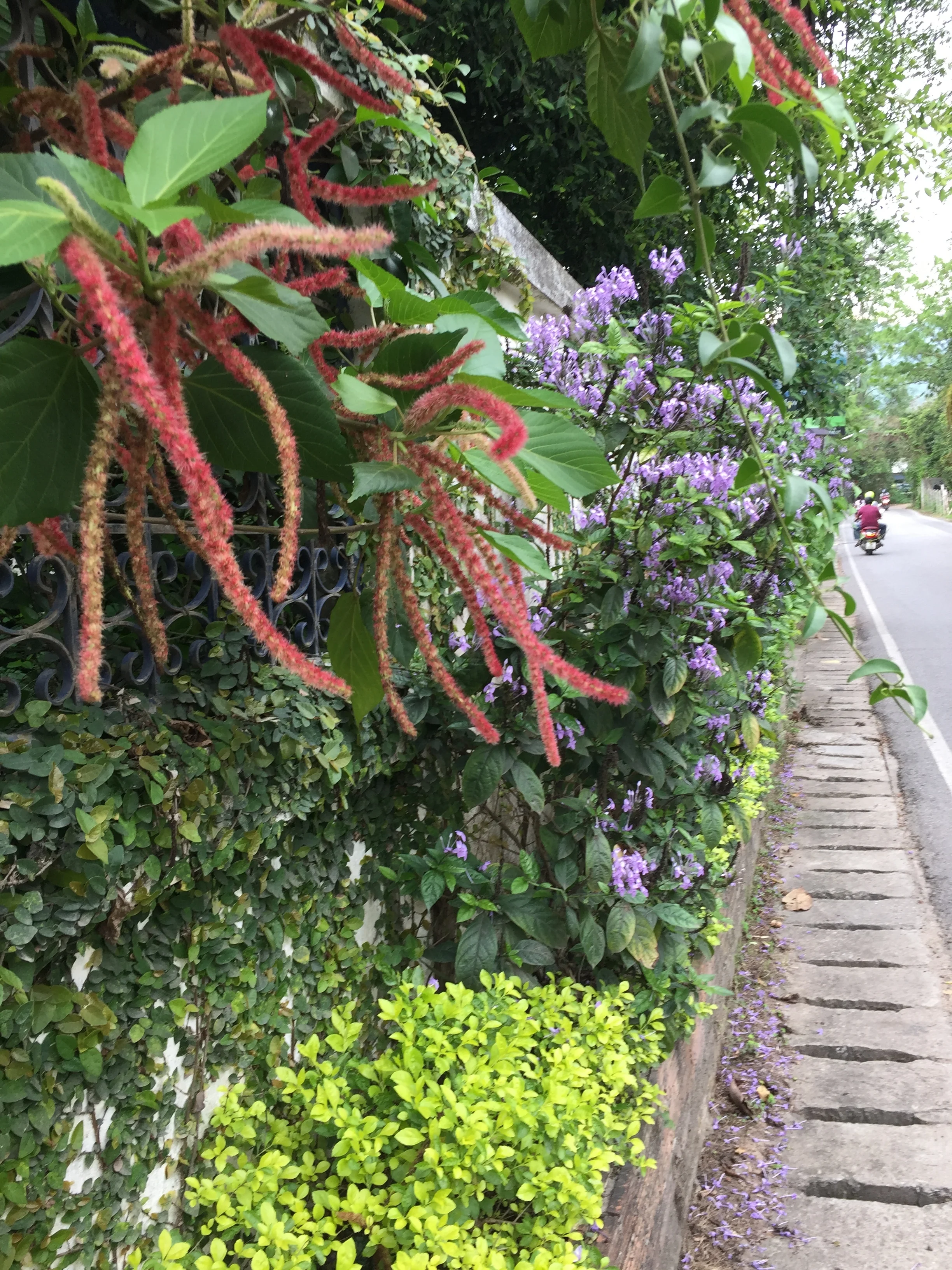 Chiang Mai: Ancient and Modern