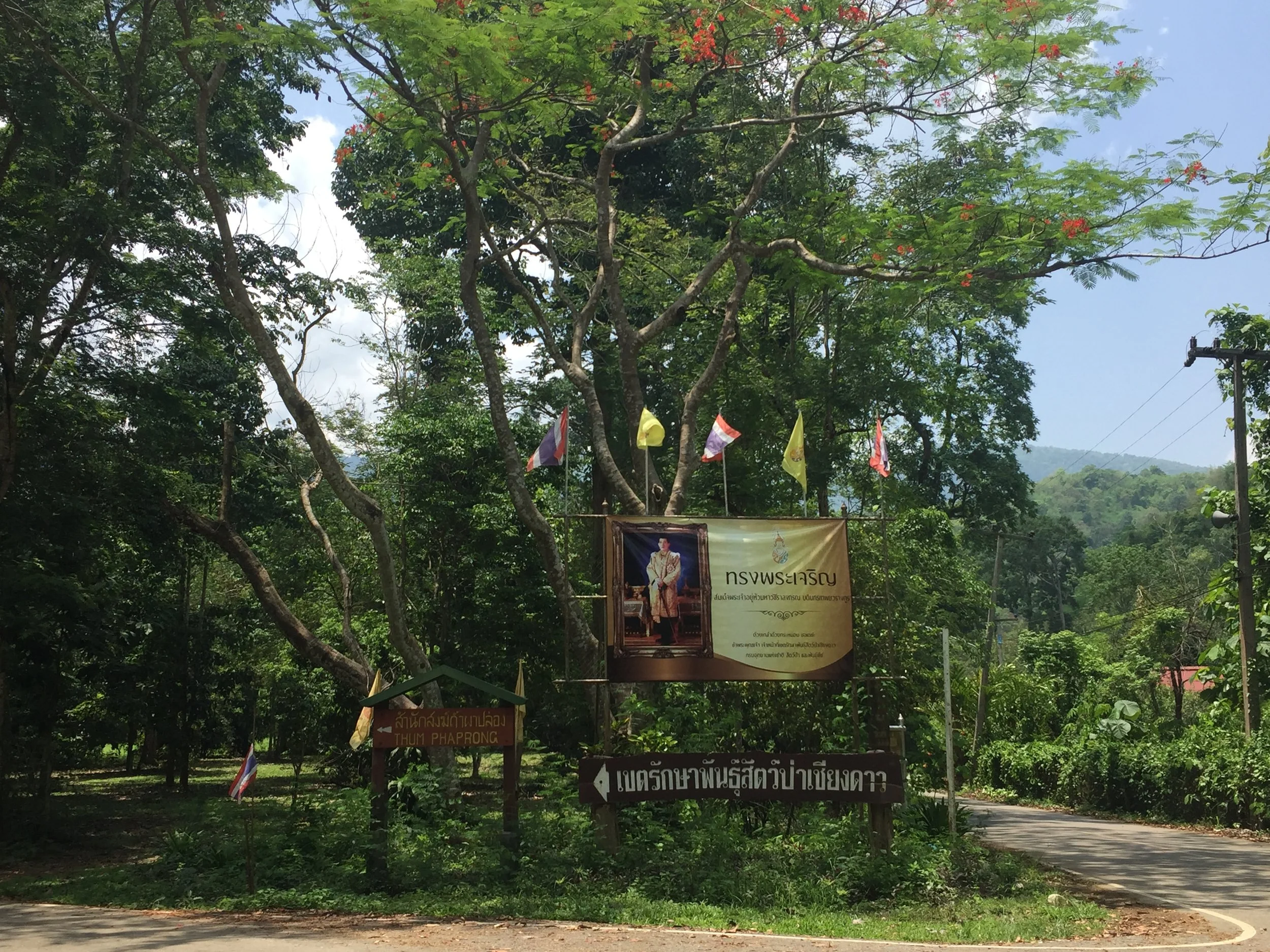 A picture of the king at the fork towards The Nest