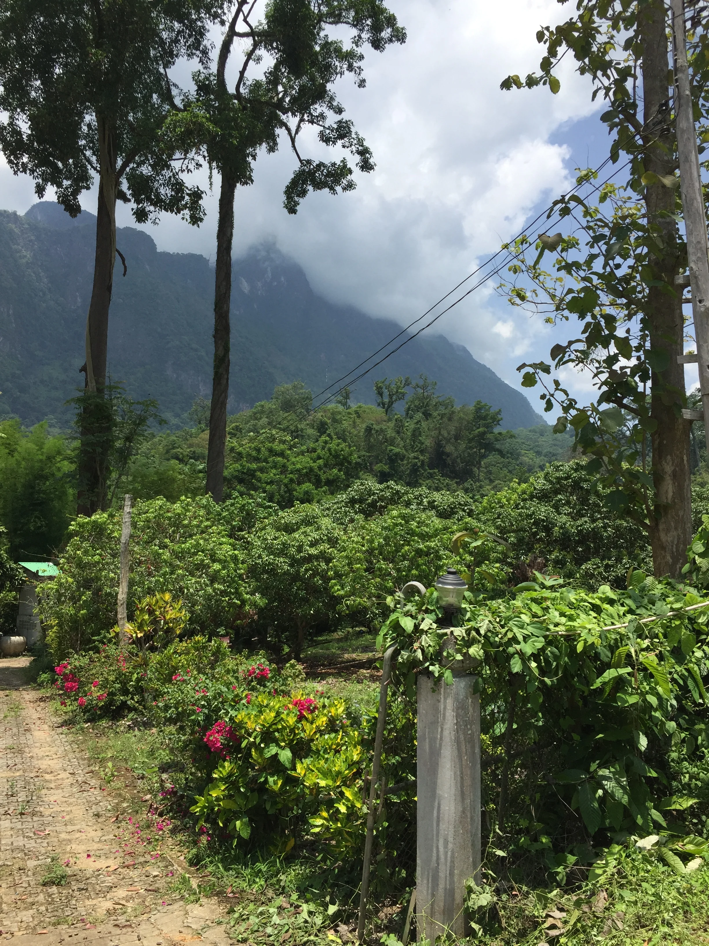 Chiang Dao: Mountainous Dreams