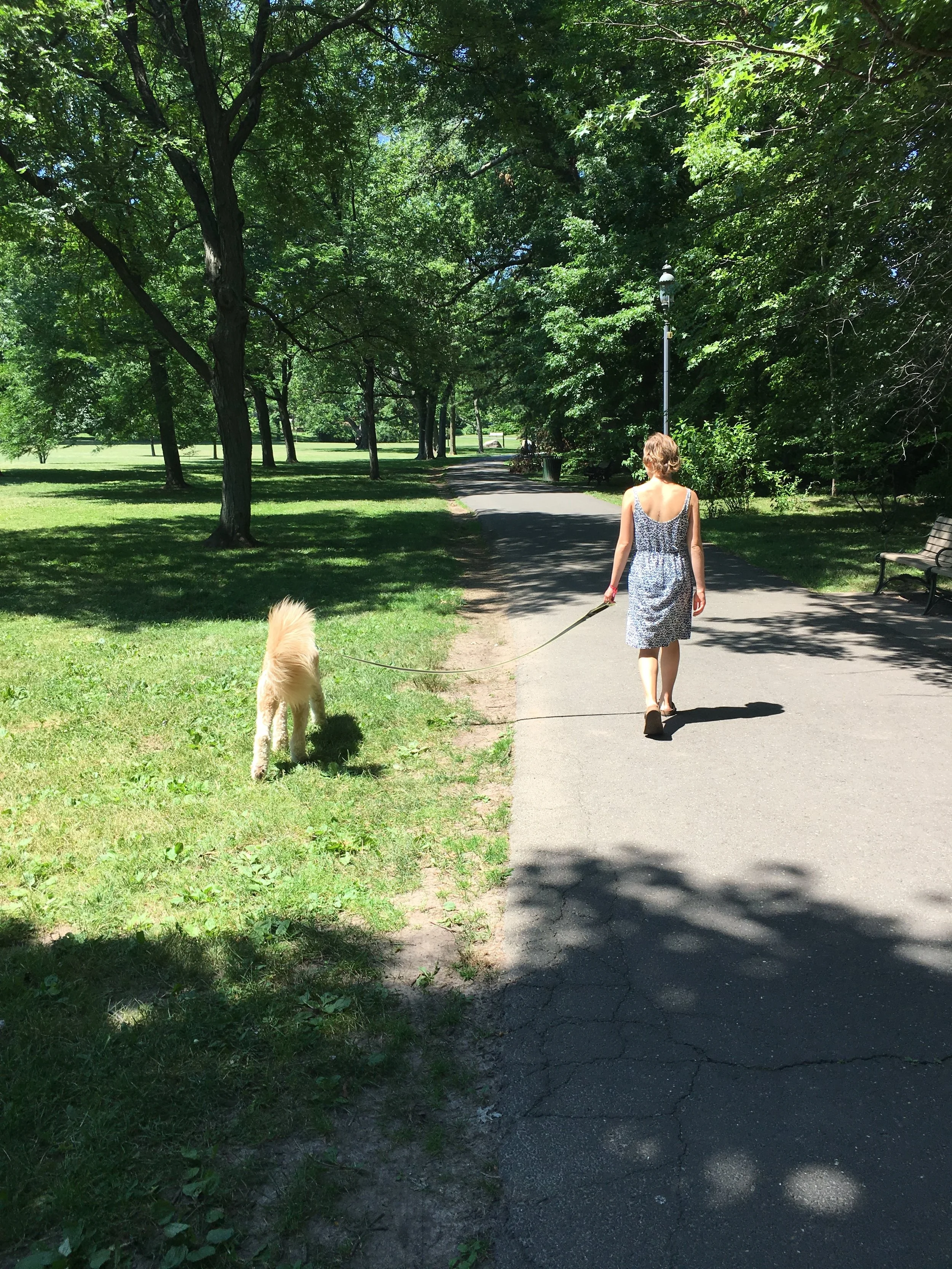 Montclair: Pit Stop Stateside